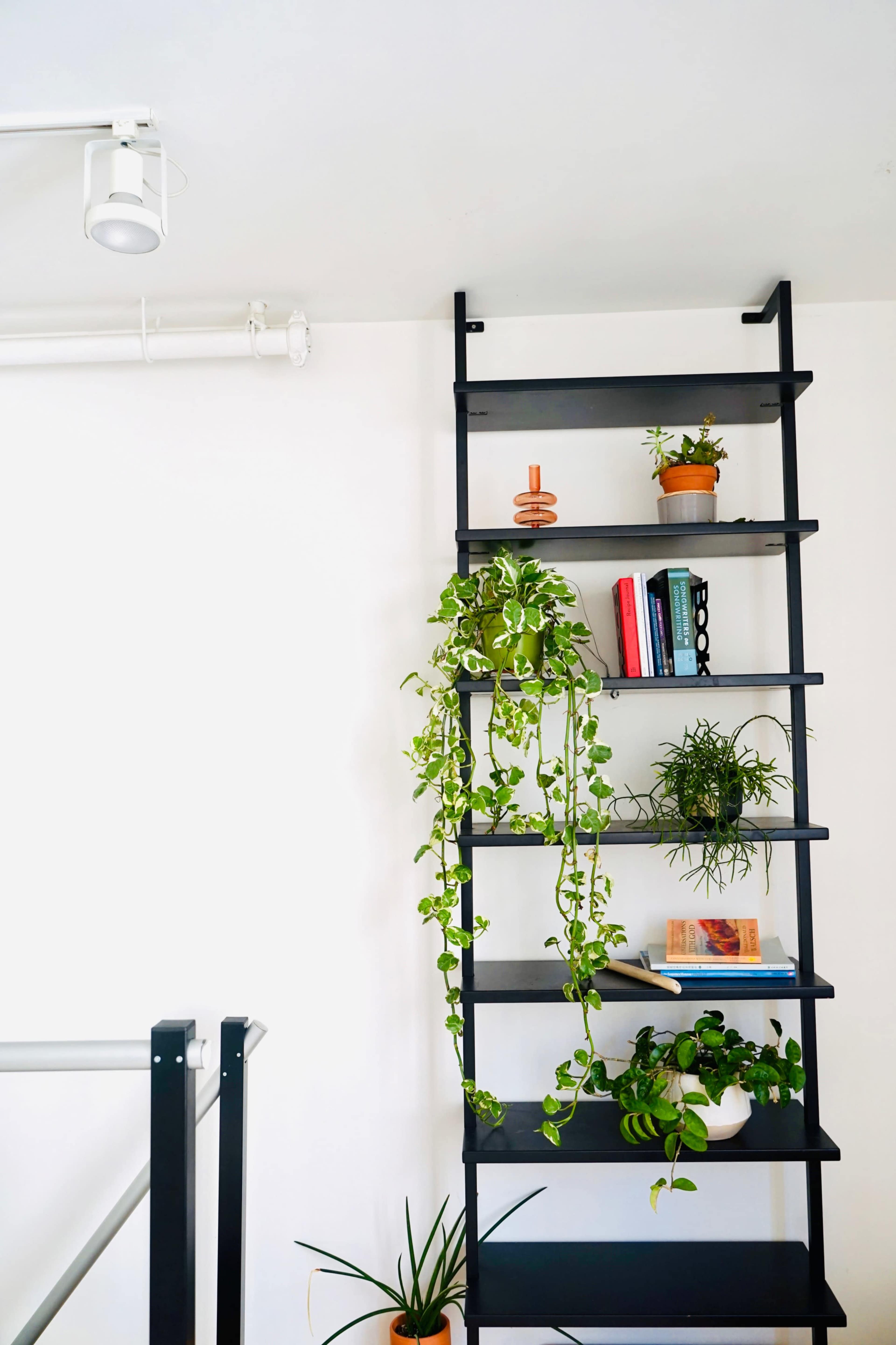 The image shows a black ladder-style bookshelf adorned with various plants and books against a white wall.