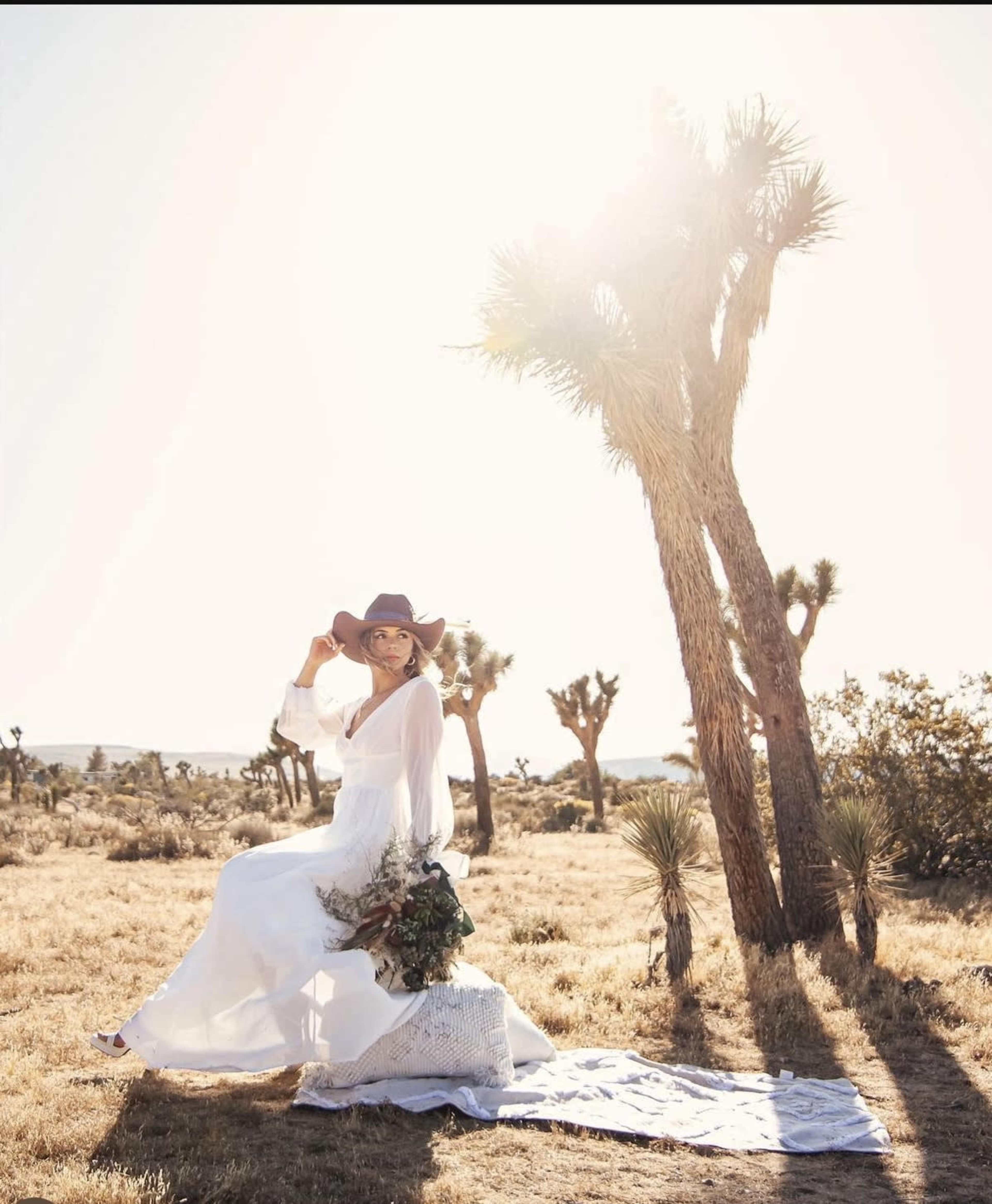 A woman in a white dress and a brown hat sits on a blanket in a desert landscape under a bright sun and near Joshua trees.
