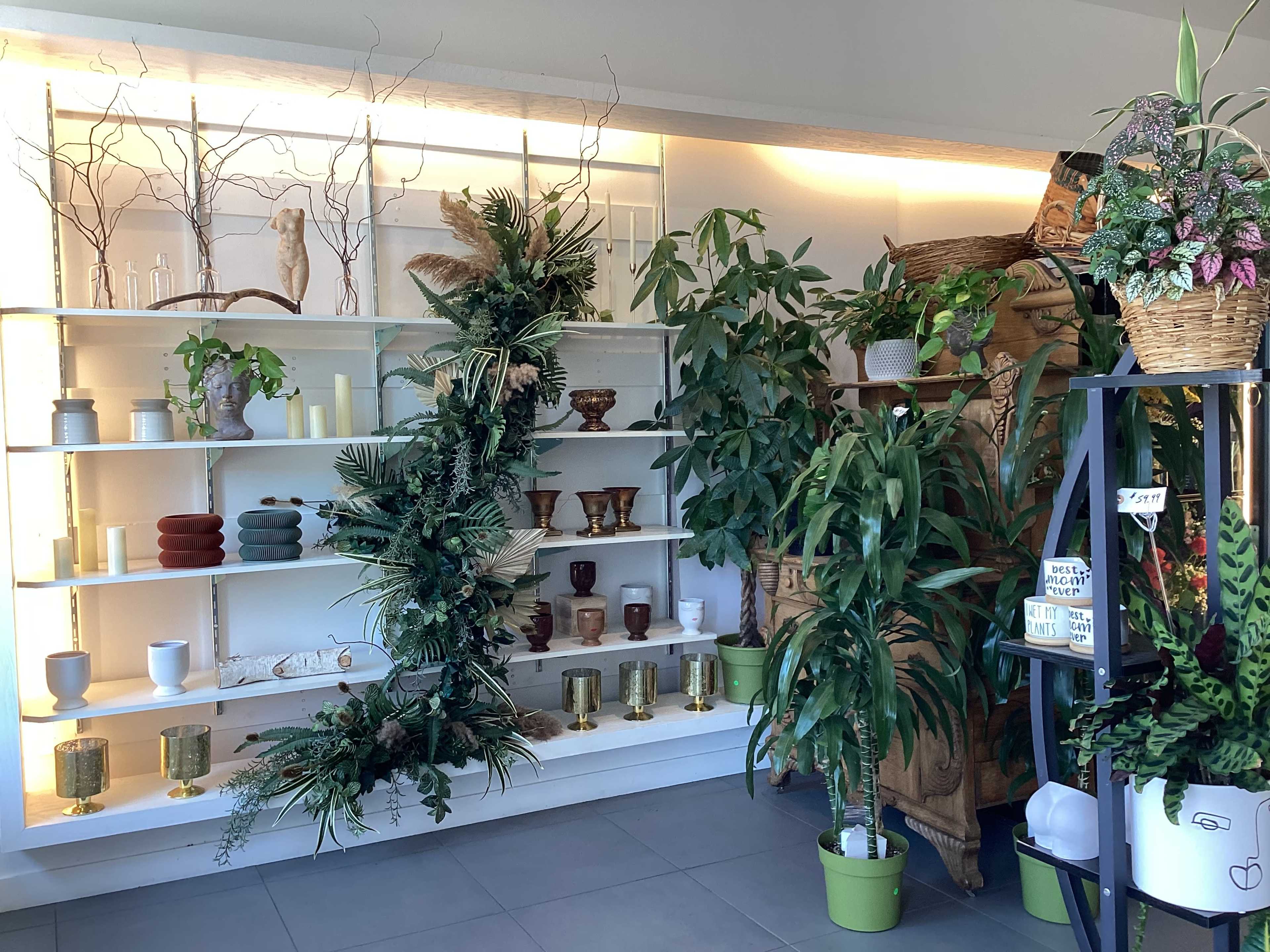 The image shows a well-organized display of decorative items and plants on white shelves, with greenery and various vases and pots showcased prominently.