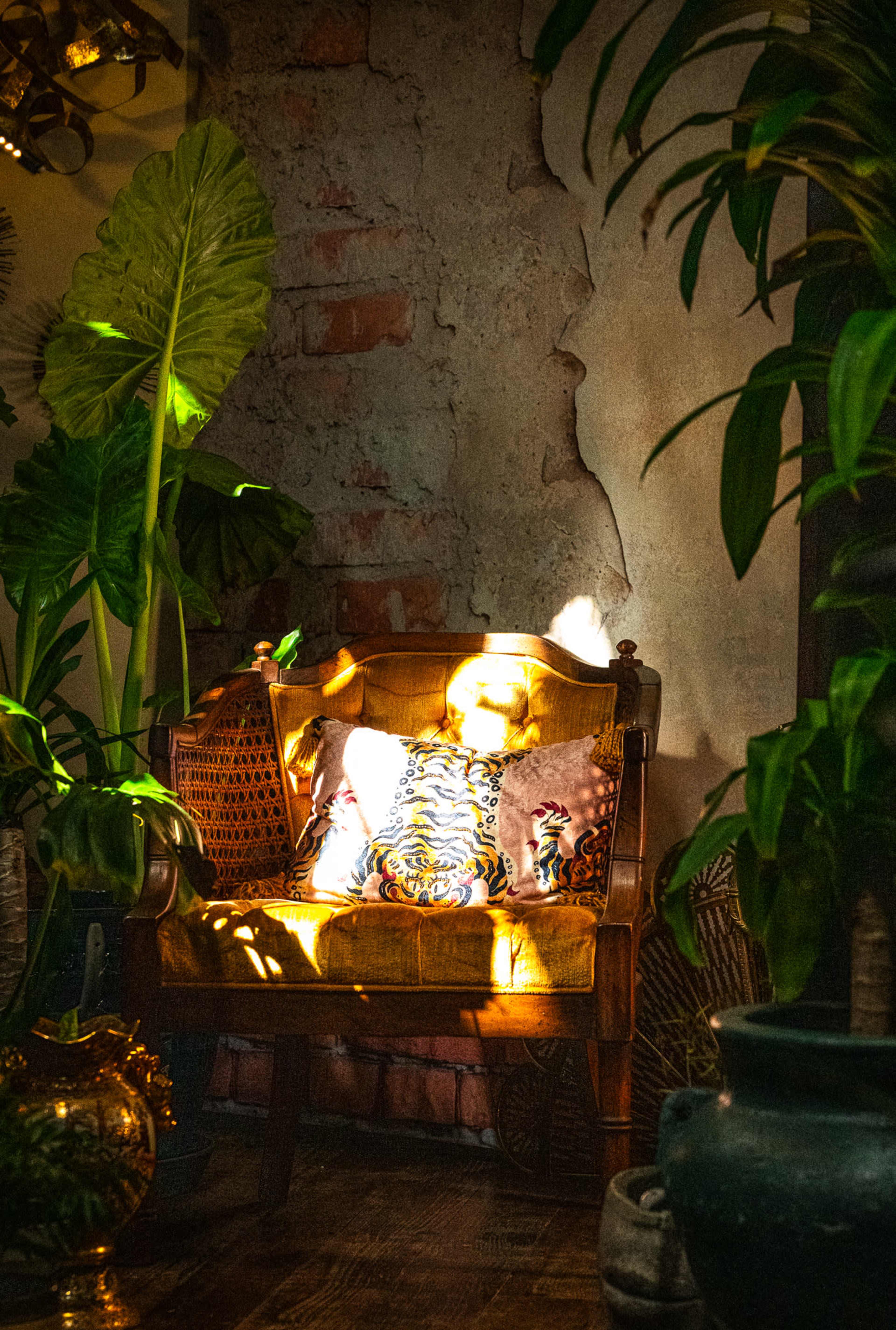 A wooden chair with a decorative pillow sits in a sunlit corner surrounded by various plants.