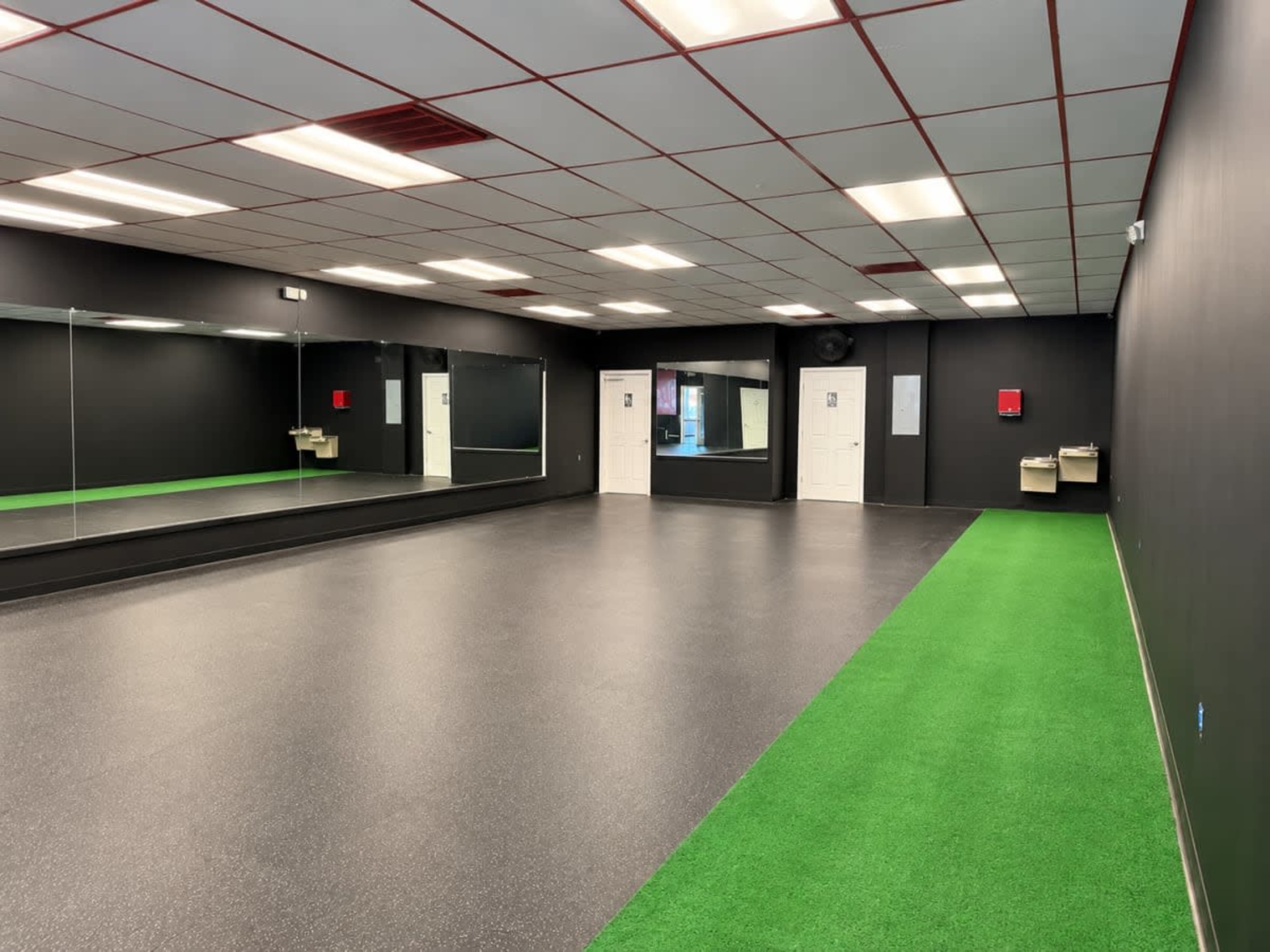 Spacious Fitness Studio with Mirrors & Turf — The Perfect Space for Your Next Session Image in Leesburg, Leesburg, VA