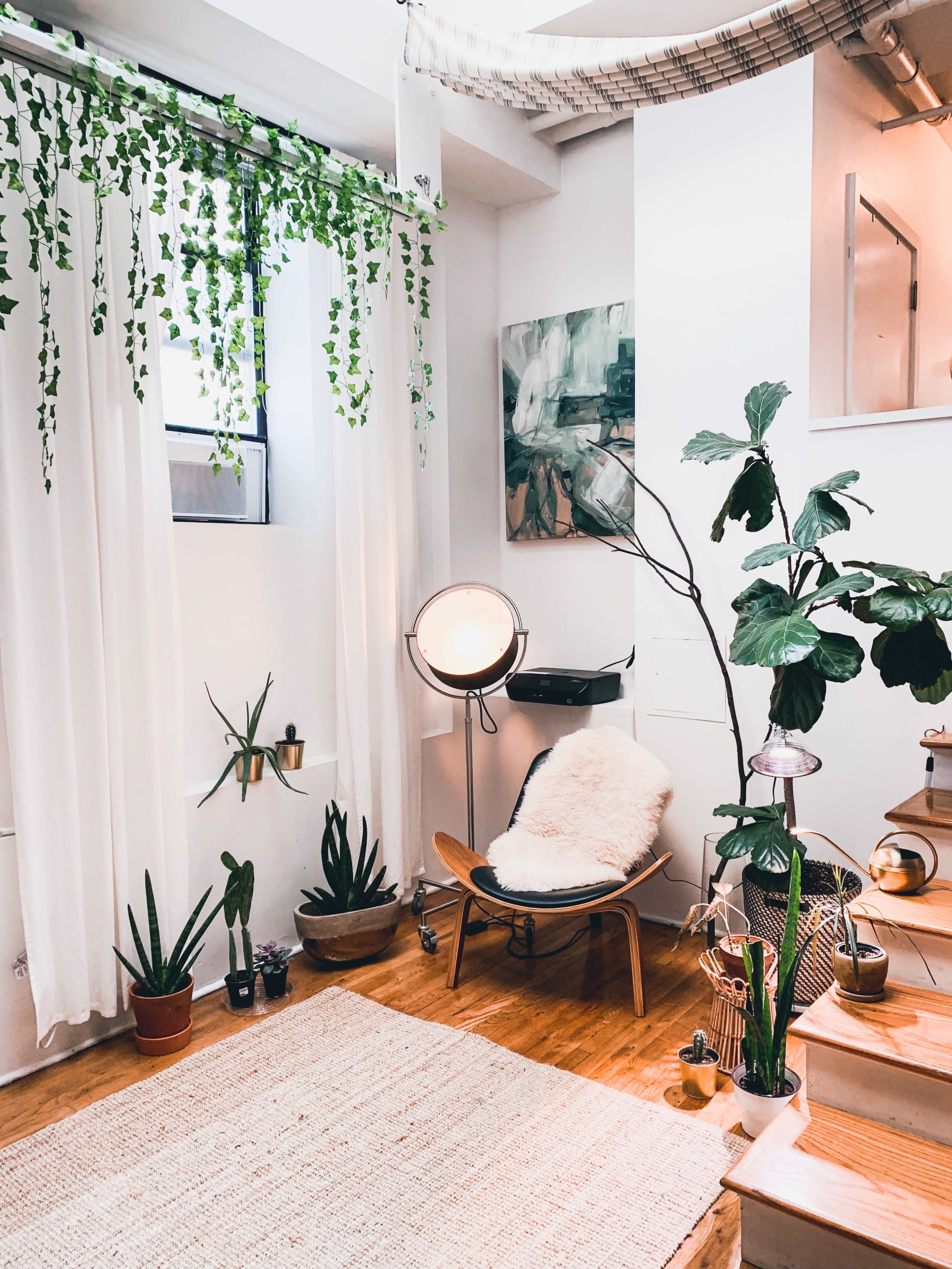 A cozy room with a chair draped in a fur throw, several potted plants, a rug on the wooden floor, and a floor lamp casting light.