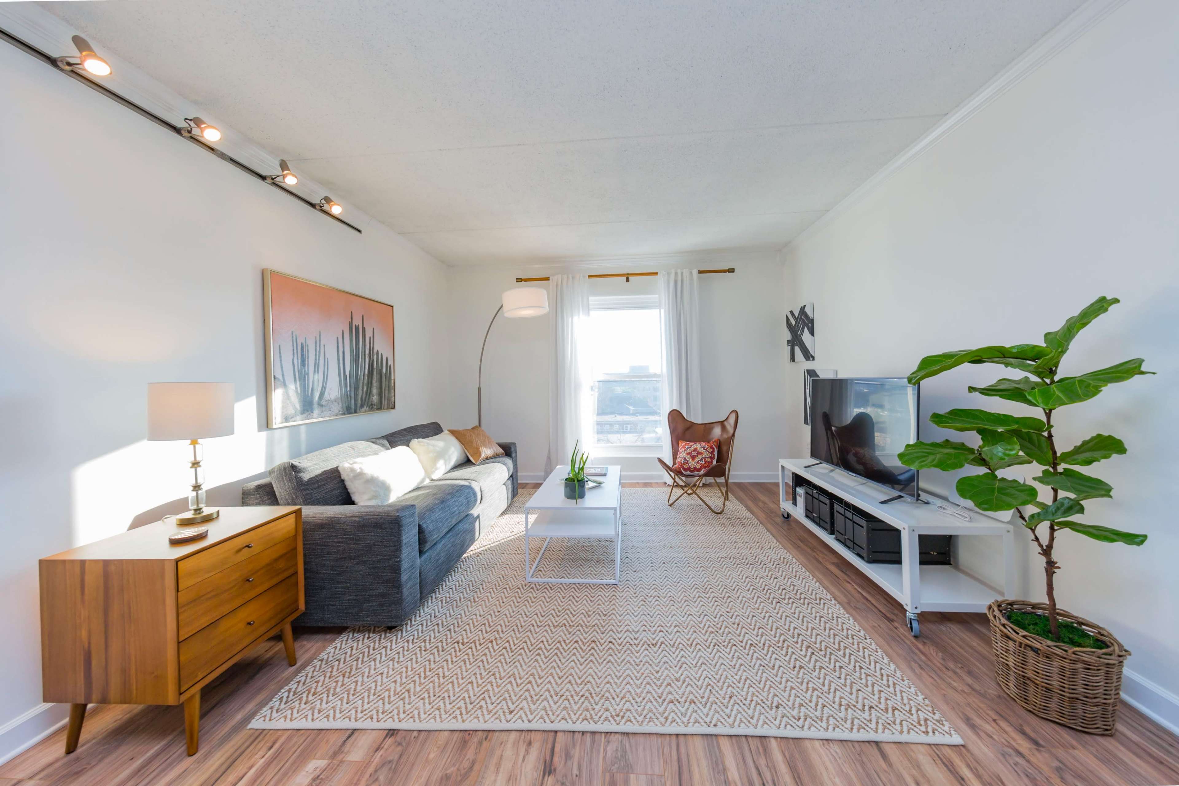 The scene shows a bright living room with a gray sofa, a wooden side table, a white coffee table, and a potted plant beside a flat-screen TV on a white media console.