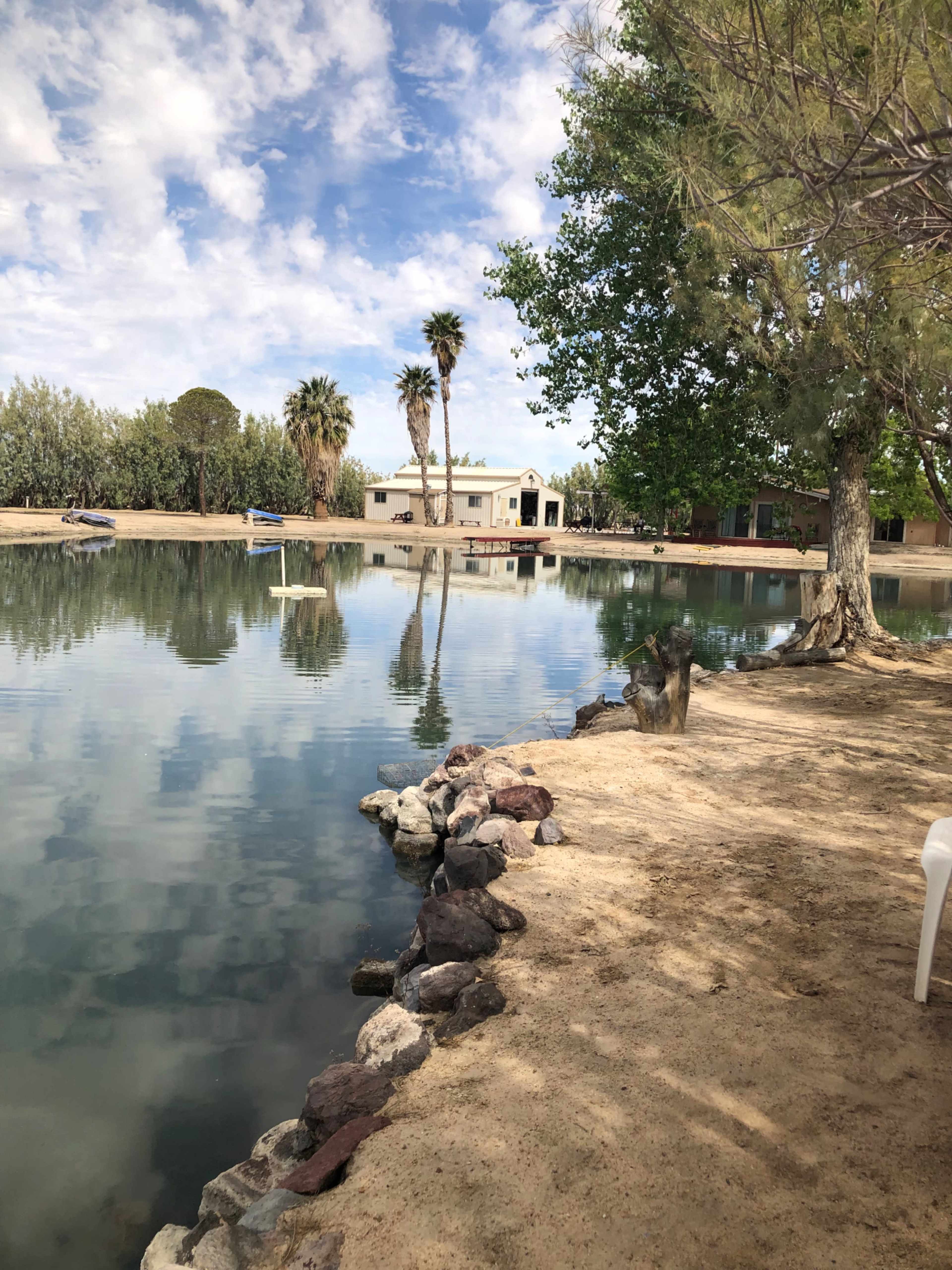 The image shows a tranquil lake bordered by sandy soil and rocks, with palm trees and a residential building visible in the background under a partly cloudy sky.