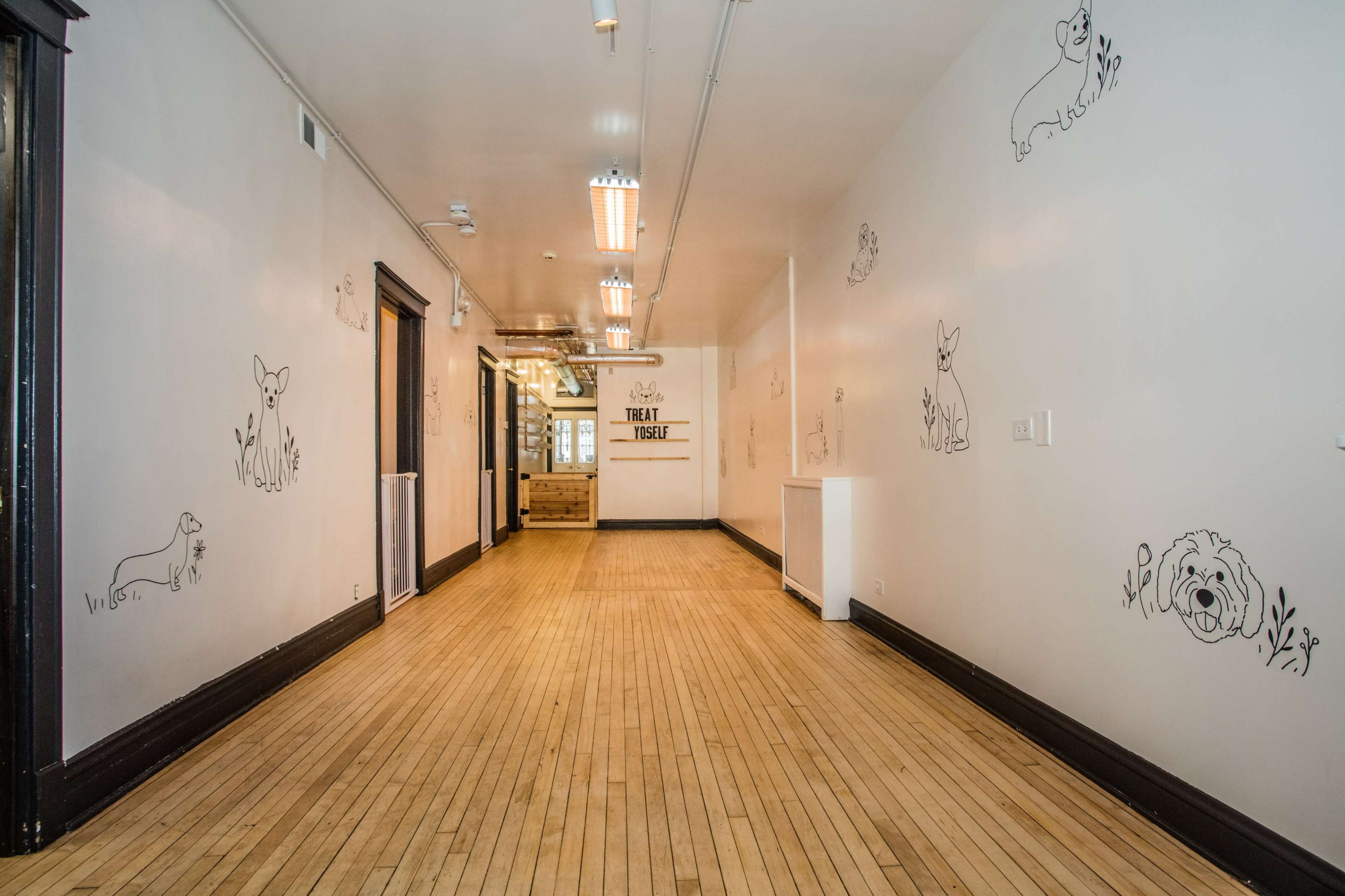 A long hallway with wood flooring and simple animal drawings on the white walls.