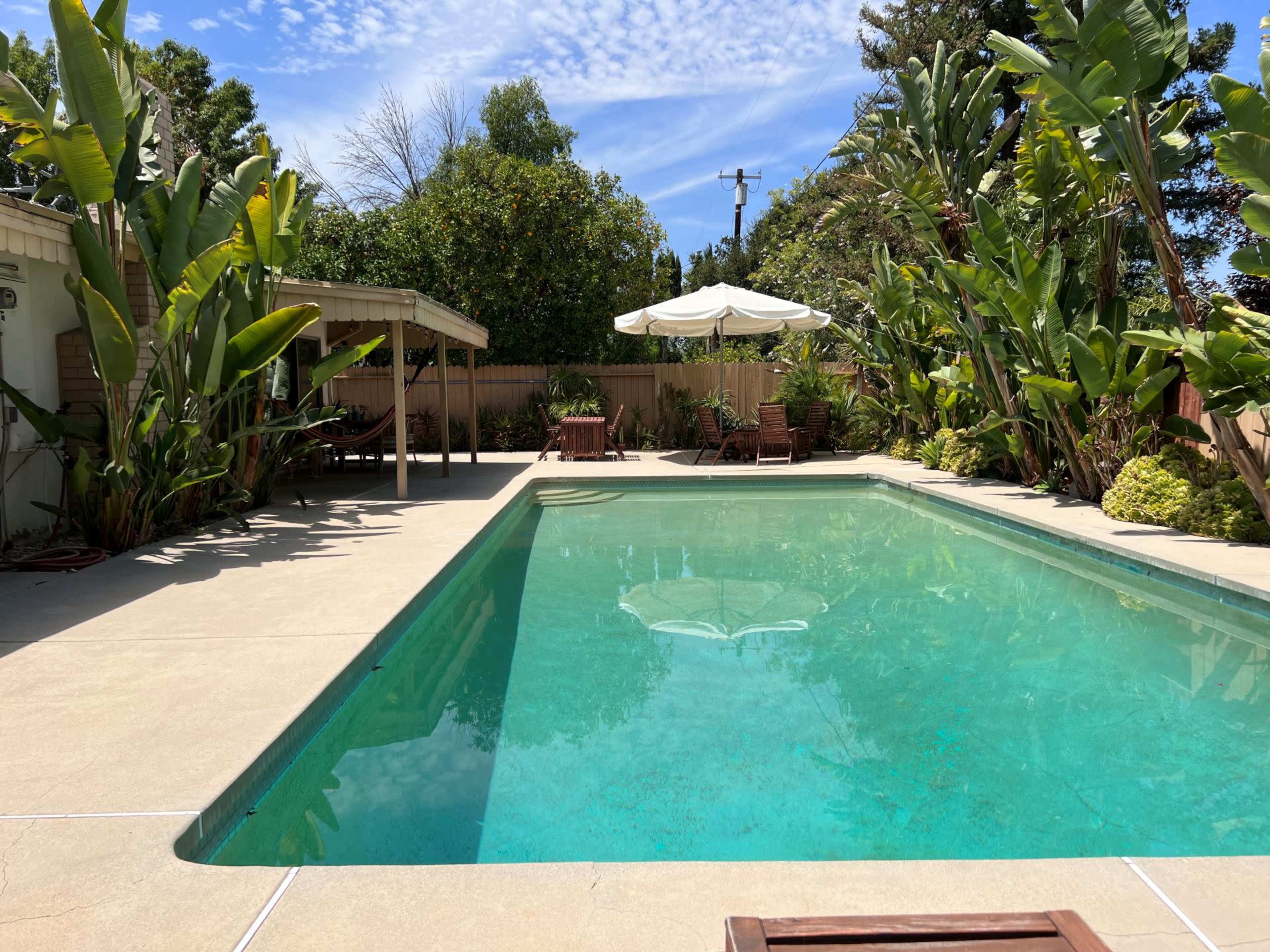 A clear swimming pool surrounded by tropical plants and a shaded seating area with lounge chairs and an umbrella.