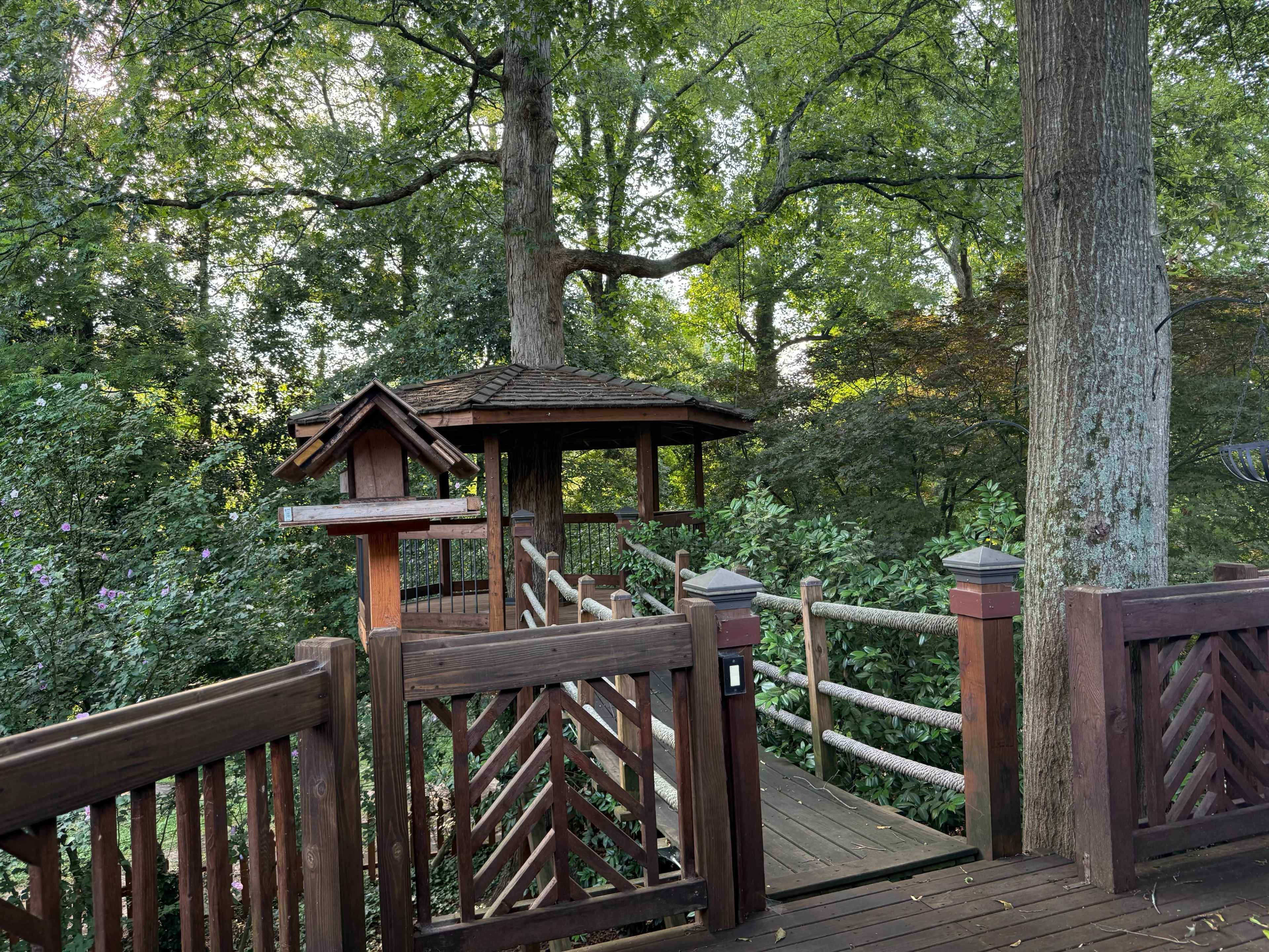 Magical Intown Backyard Oasis with Treehouse, Suspension Bridge, Pond & Lush Foliage Image in Atlanta, Atlanta, GA