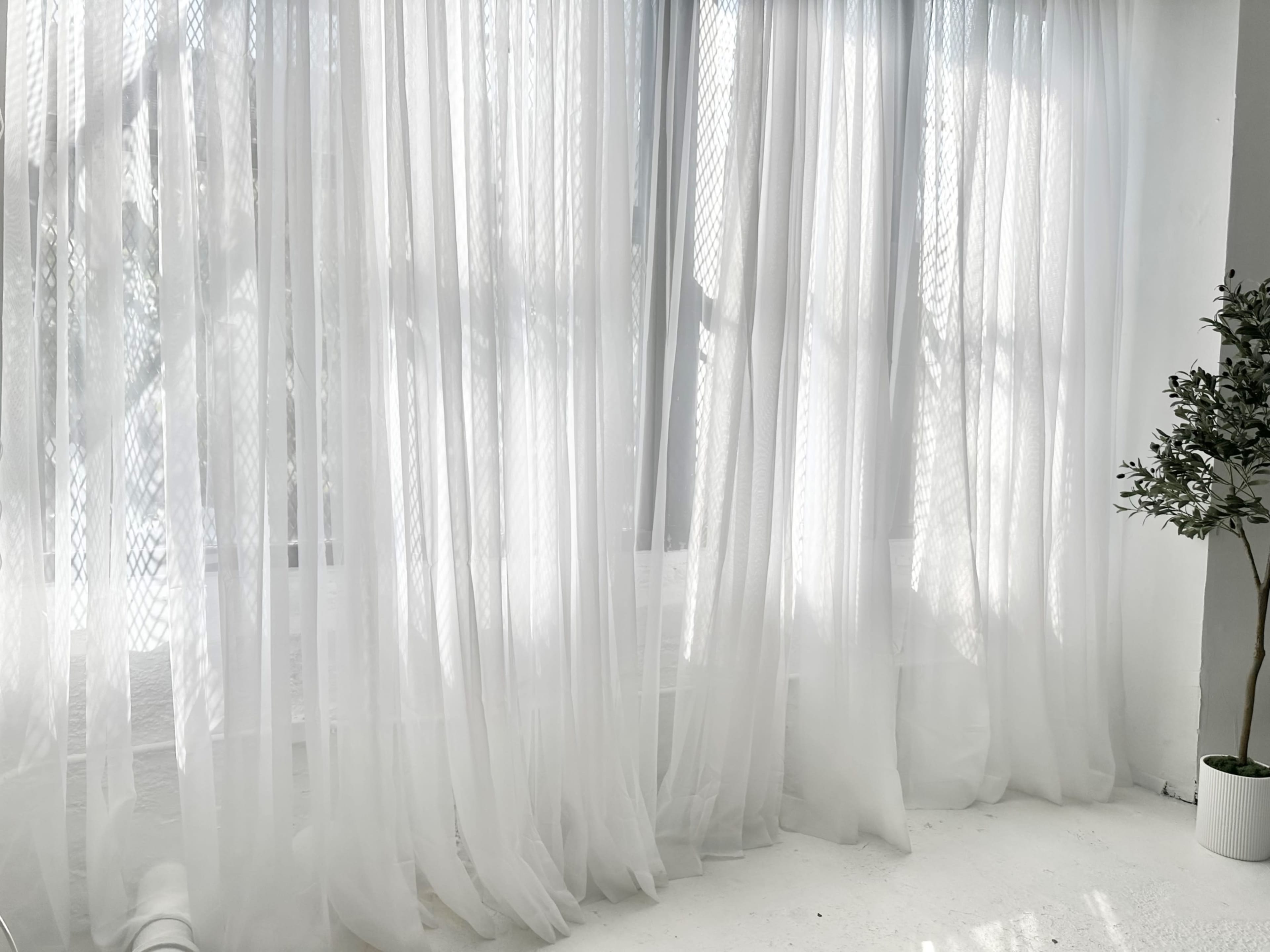 Sheer white curtains gently filter light in a bright room with a potted plant in the corner.