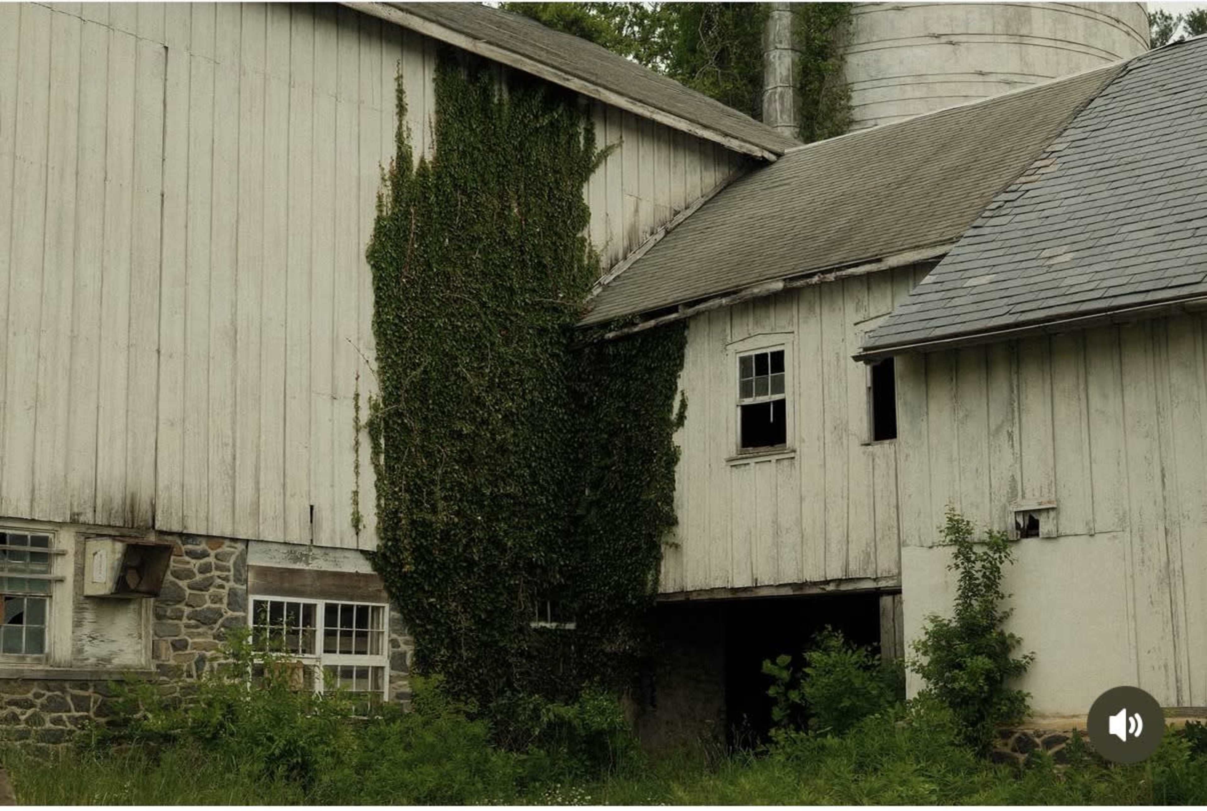 An abandoned barn with ivy climbing its exterior is shown next to a stone foundation.