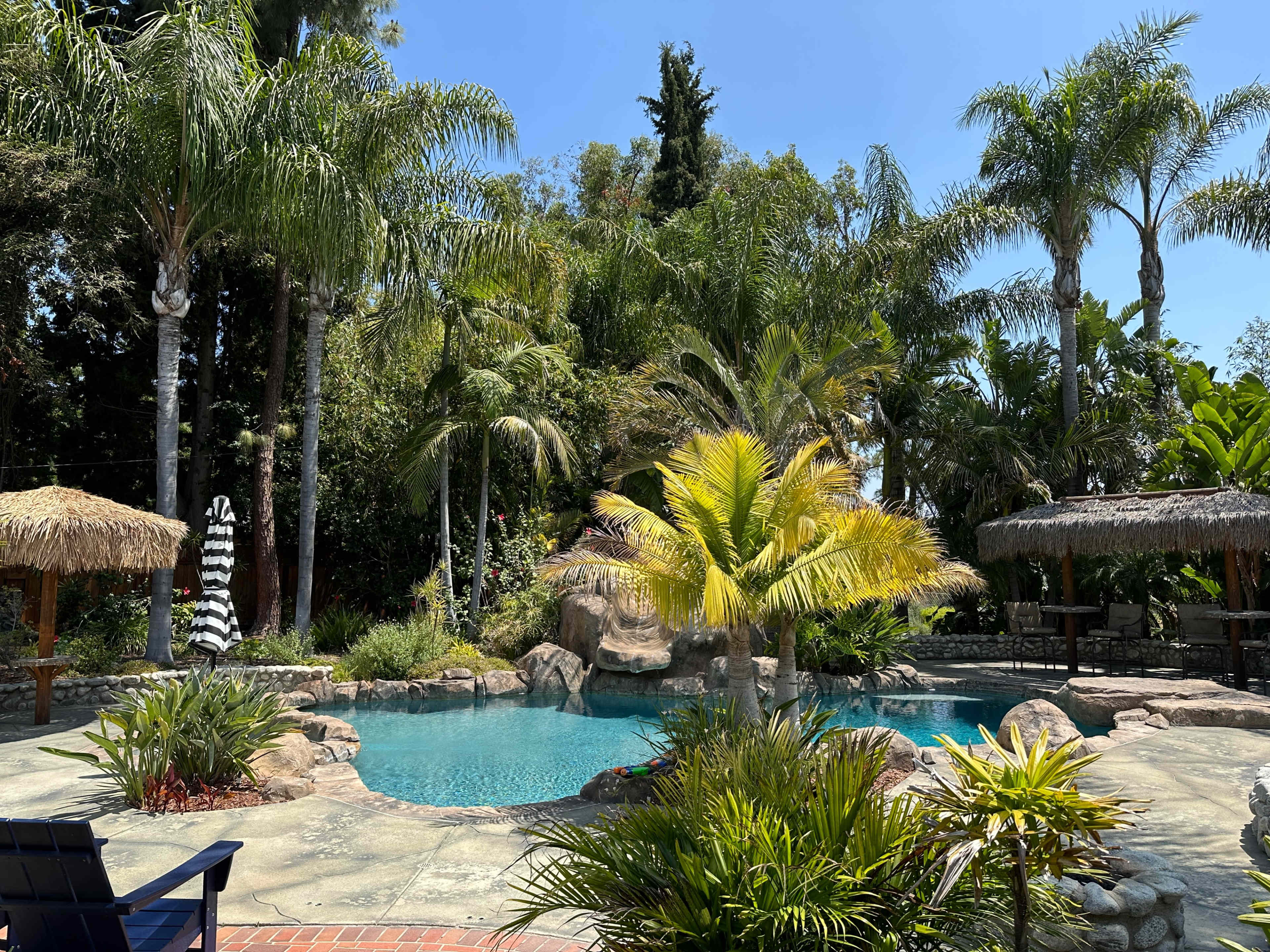 A tropical pool area features palm trees, rocky landscaping, and thatched umbrellas.