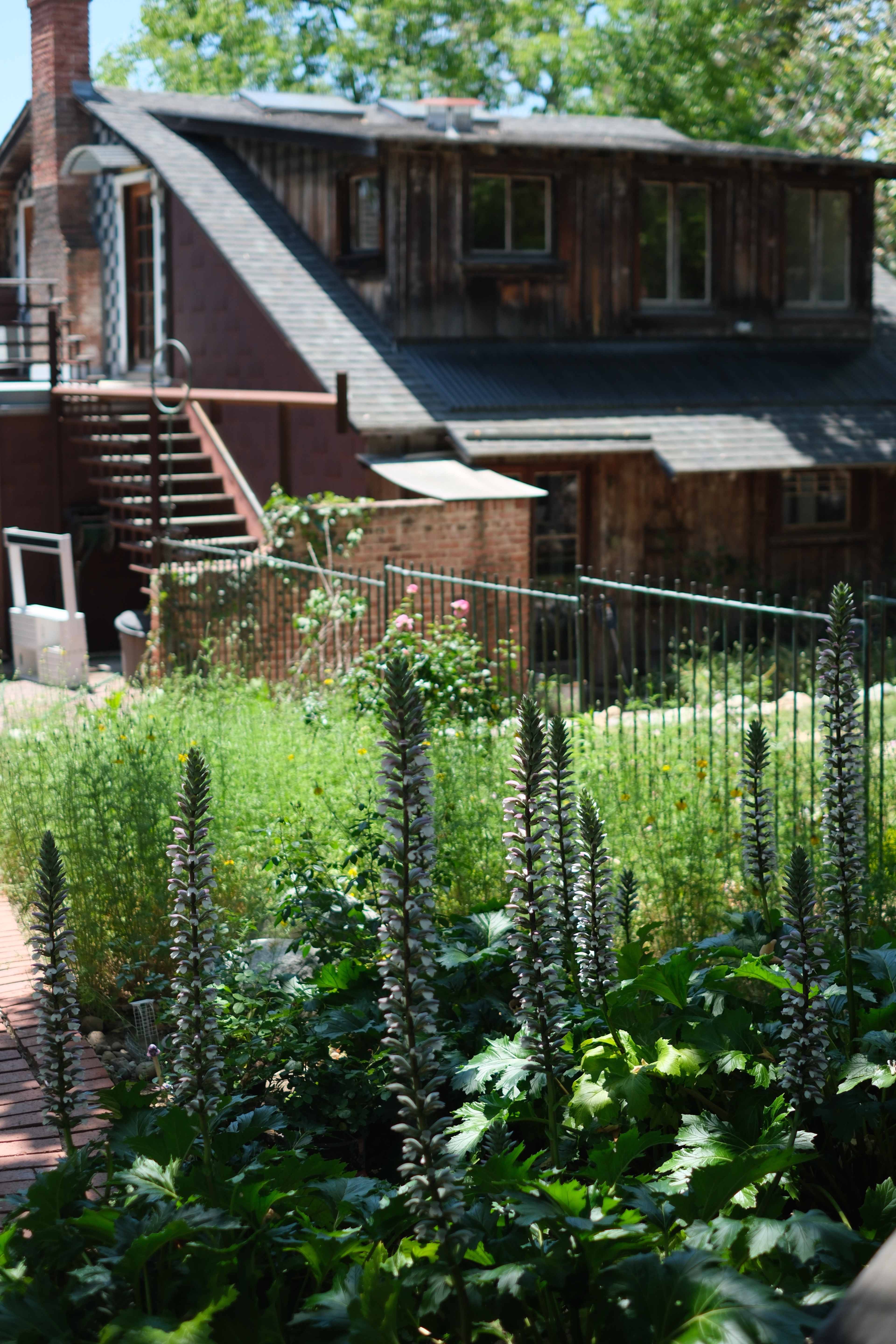 Charming & Historical Barn with Mature Trees Image in North Tustin, Santa Ana, CA