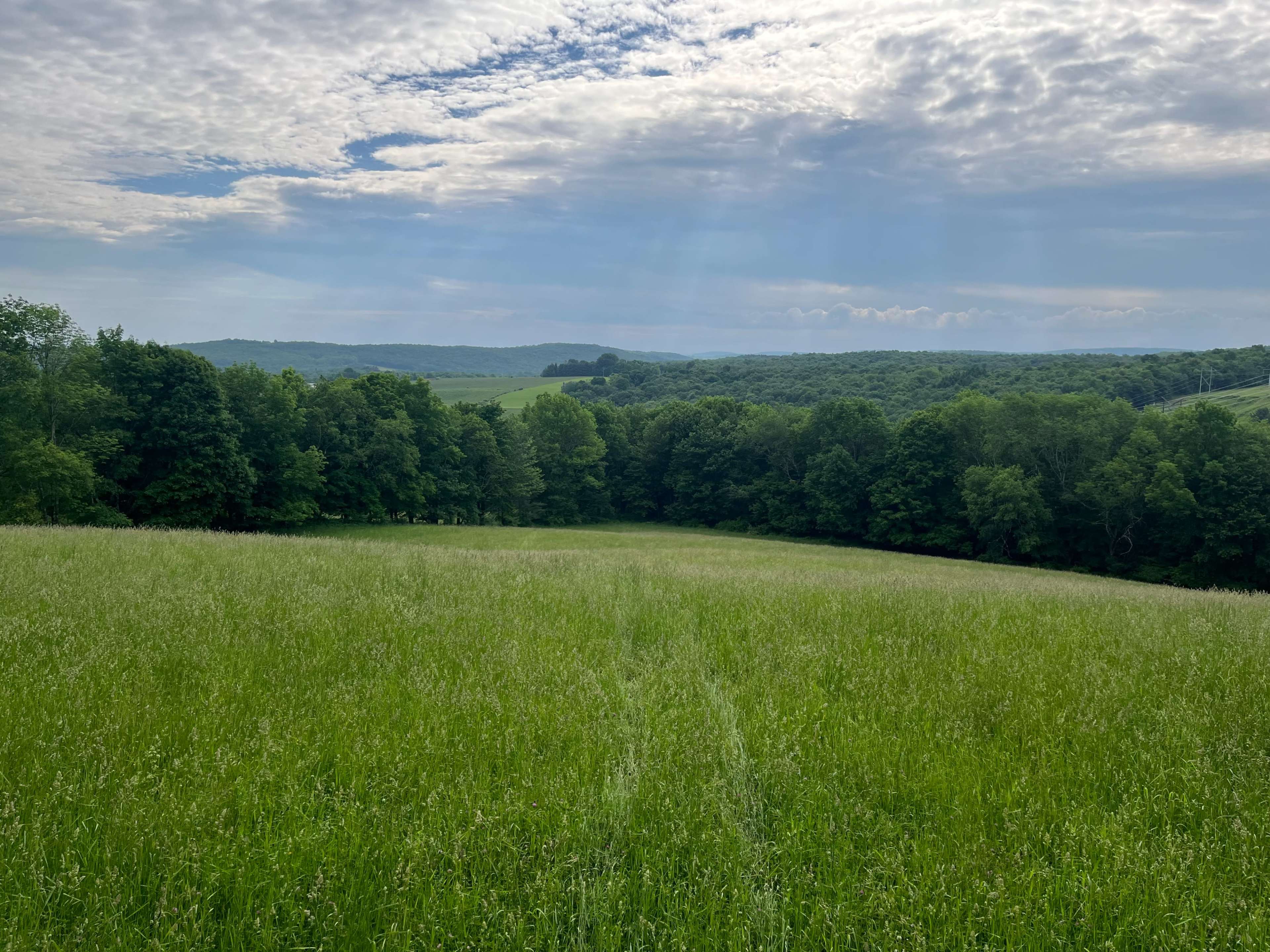 Farm, Fields and Forest in the Catskills Image in Liberty, Liberty, NY
