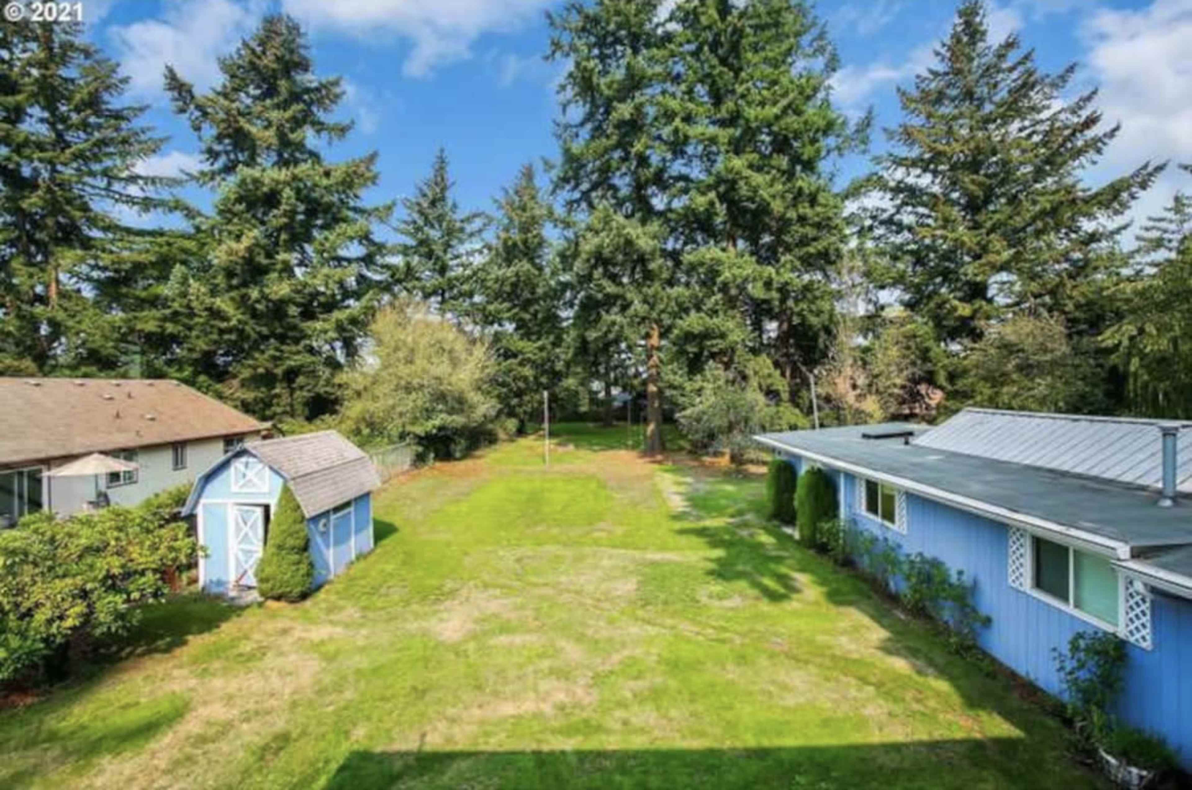 A spacious backyard with two houses and tall trees under a blue sky.