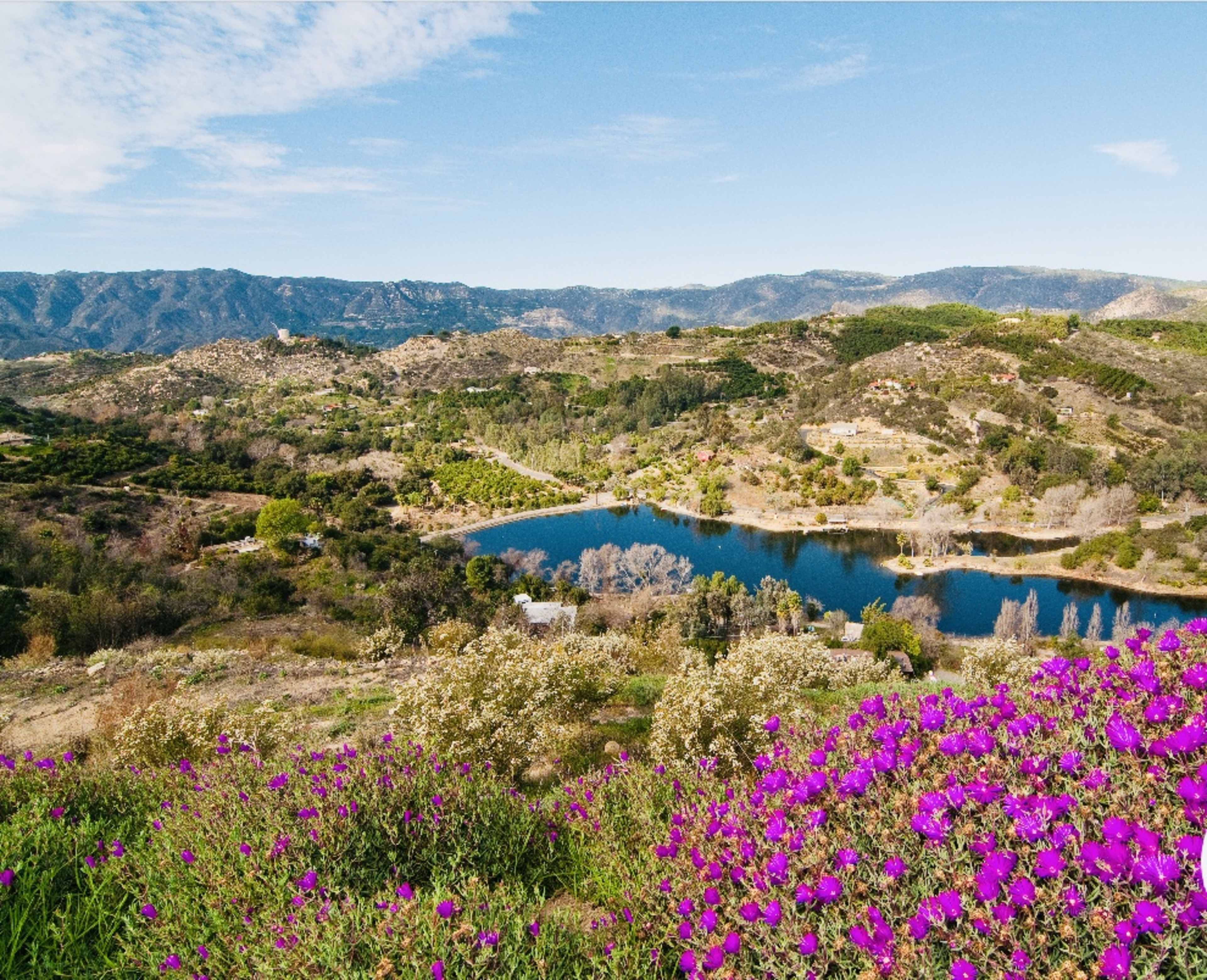 The image shows a scenic landscape featuring a tranquil lake surrounded by hills and vibrant purple flowers in the foreground.