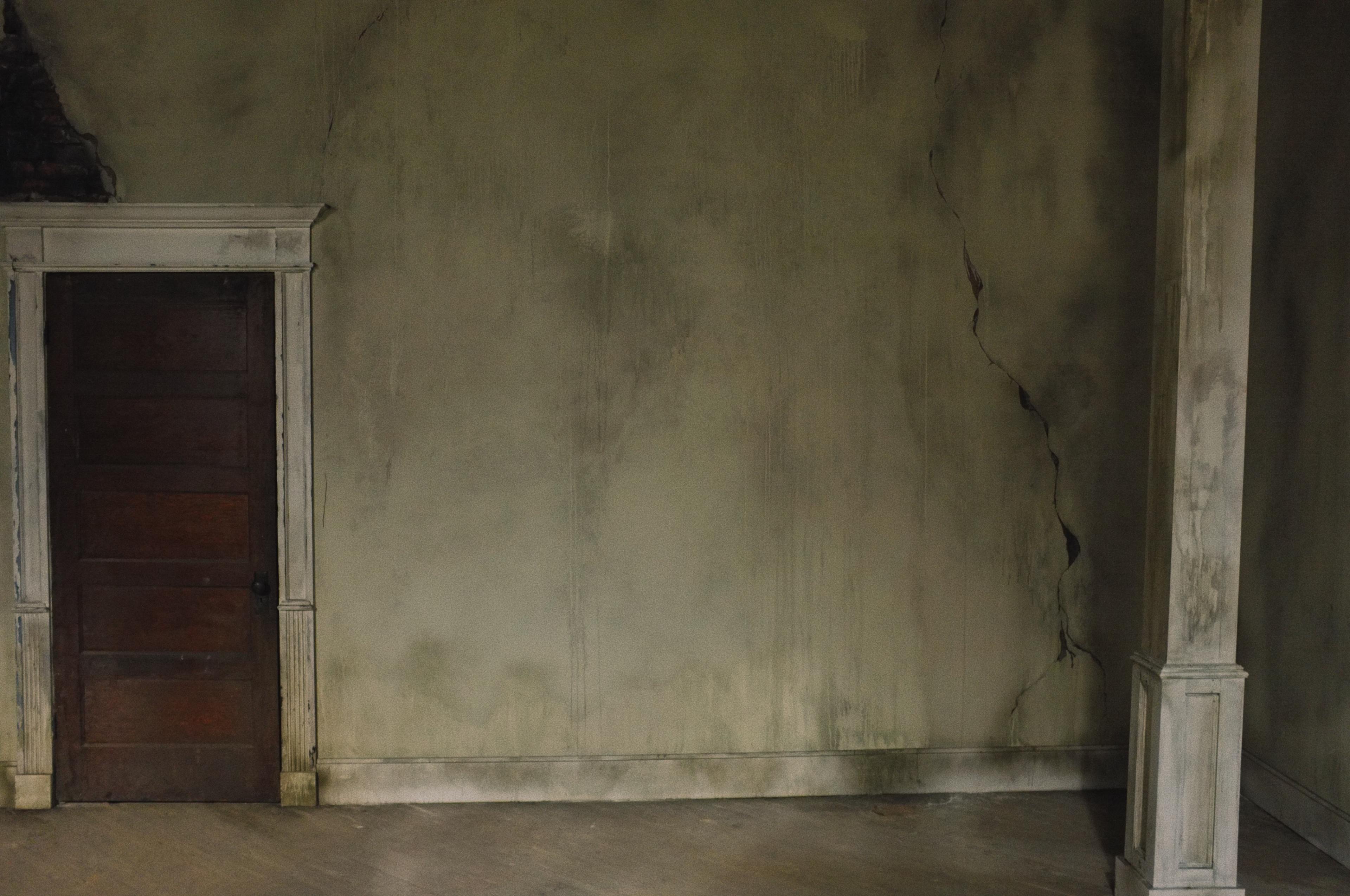 An empty room with a cracked wall and a wooden door partially visible on the left side.