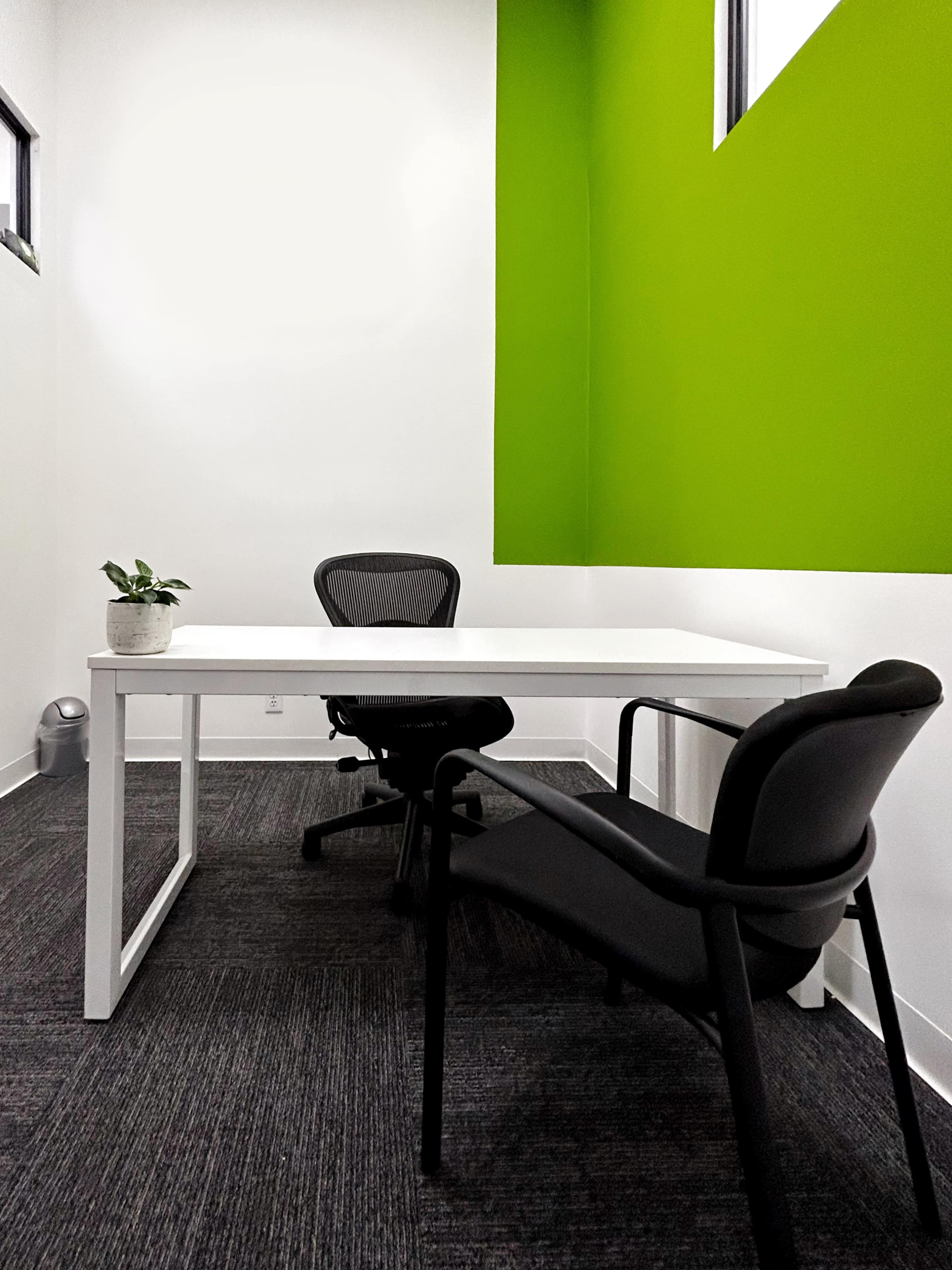 A minimalistic office space features a white desk with two chairs, one occupied by a potted plant, against a vibrant green wall.