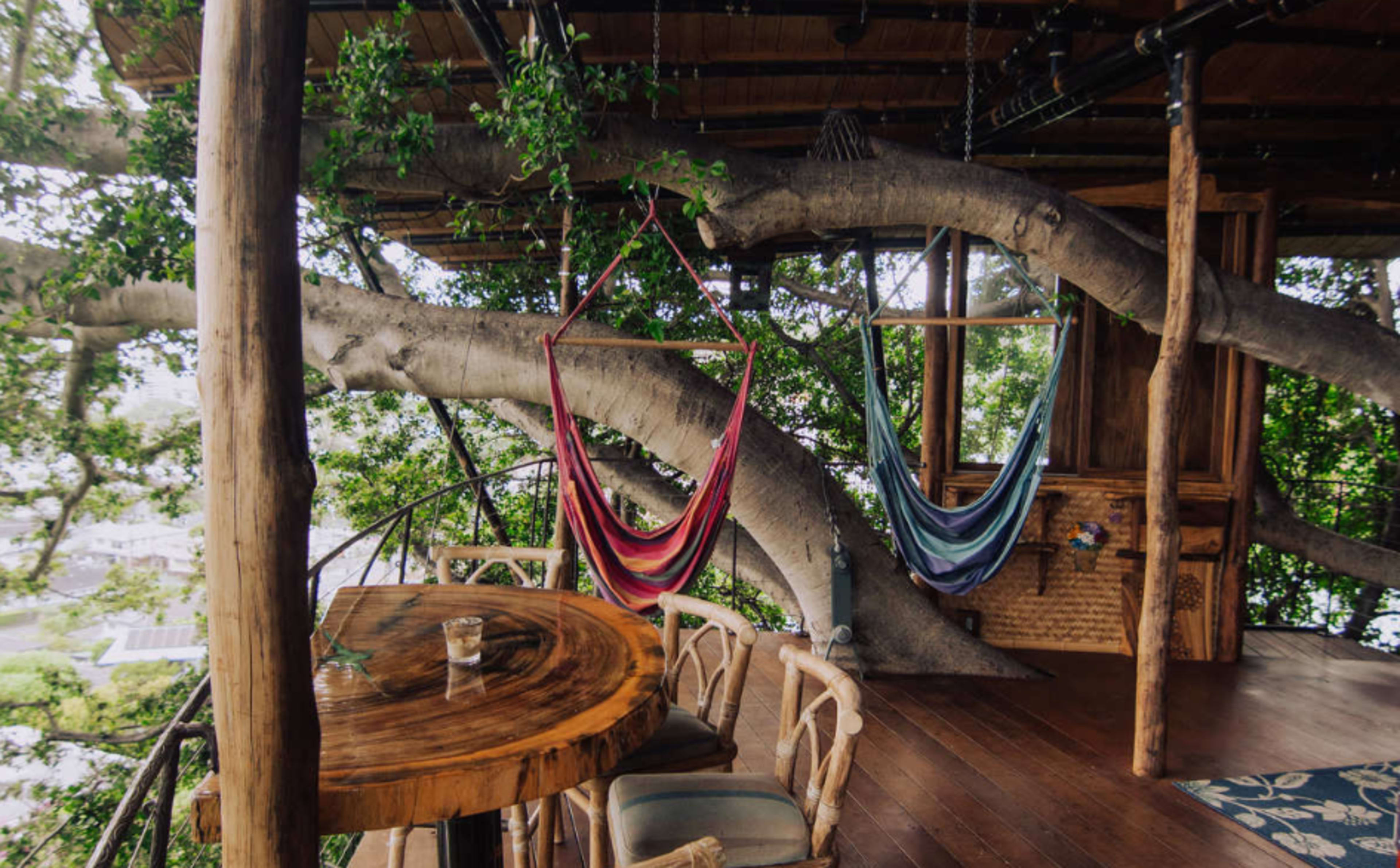 Mahina Treehouse with Diamondhead & Skyline View Image in Makiki/Lower/ Punchbowl/Tantalus, honolulu, HI