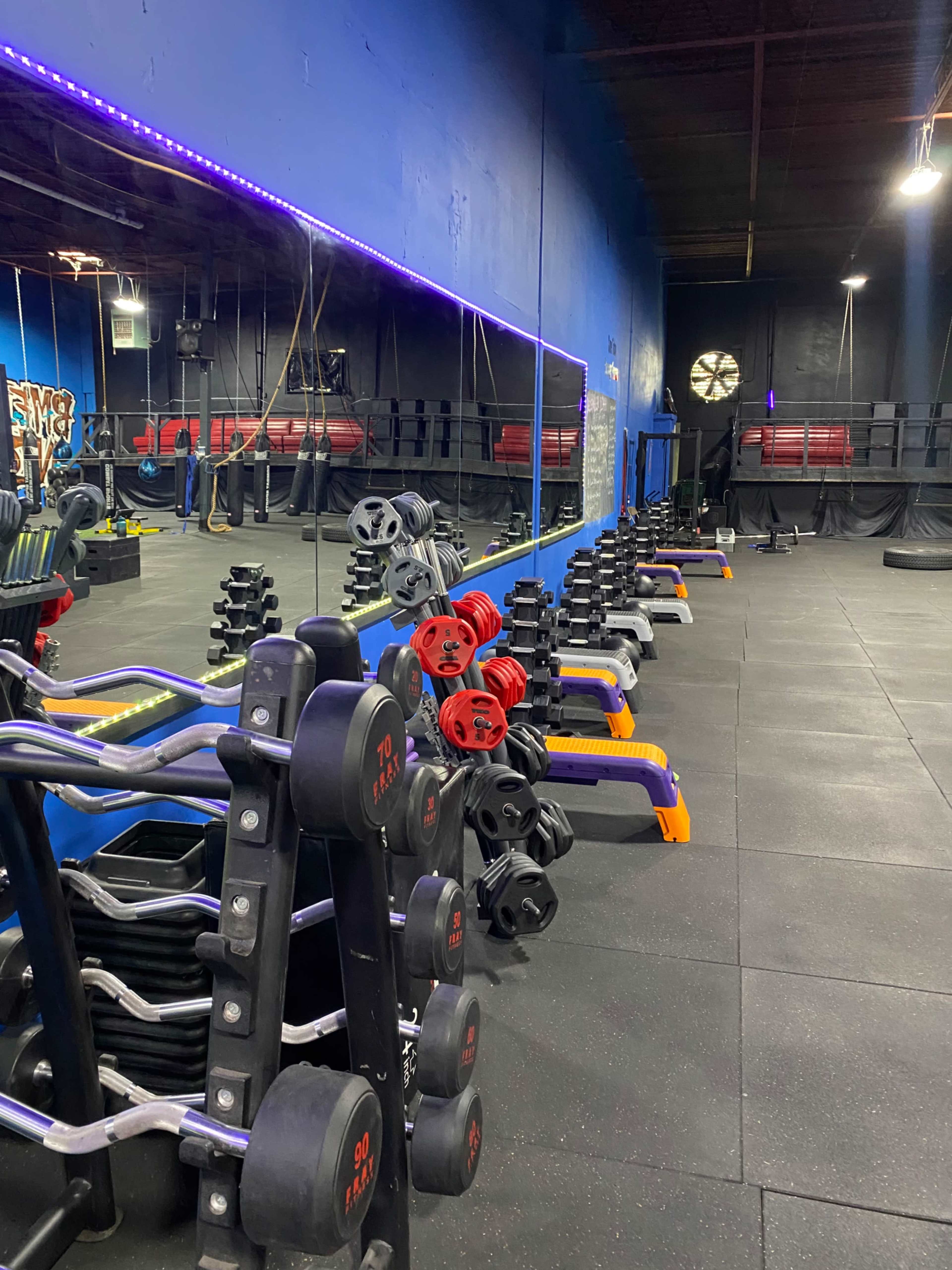 A gym interior with a lineup of dumbbells on racks against a blue wall, with a large mirror reflecting the space.