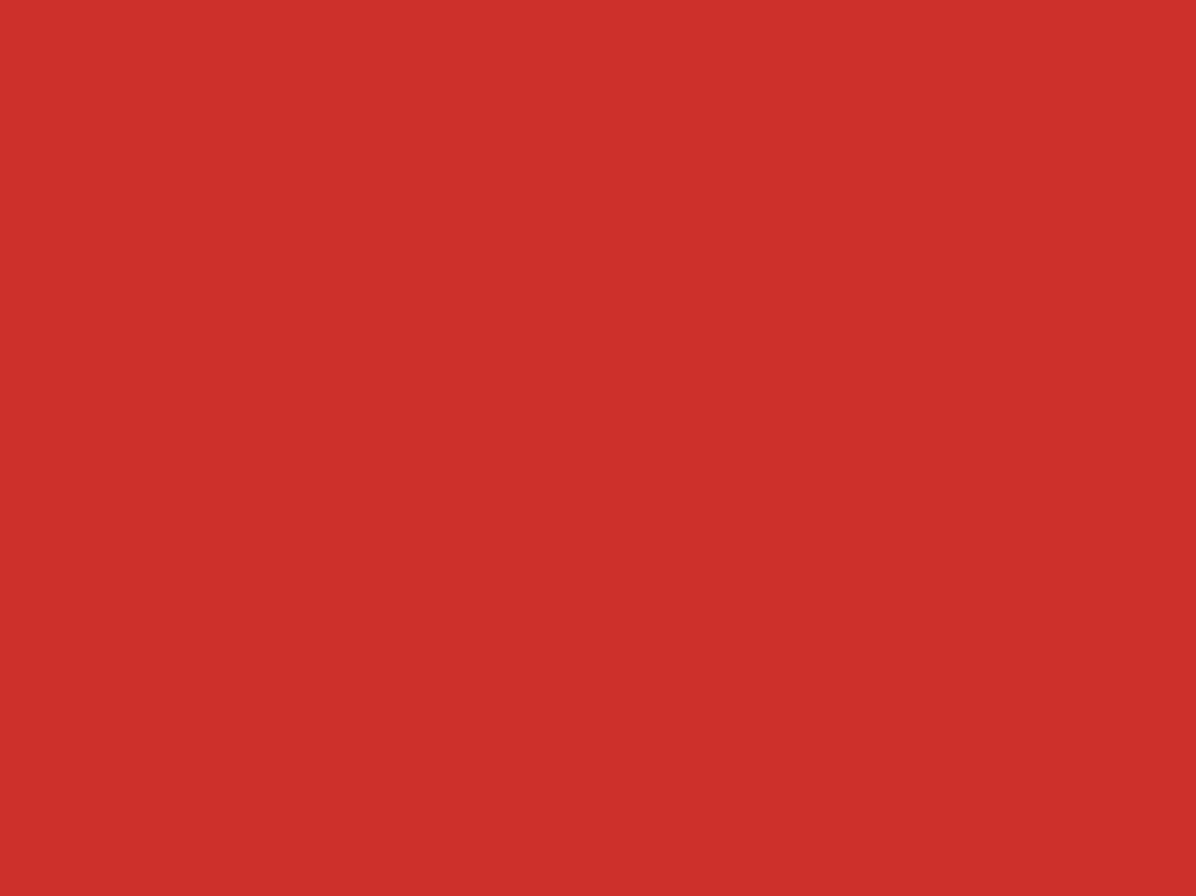 #08 Primary Red Savage Seamless 9' x 10' Pull