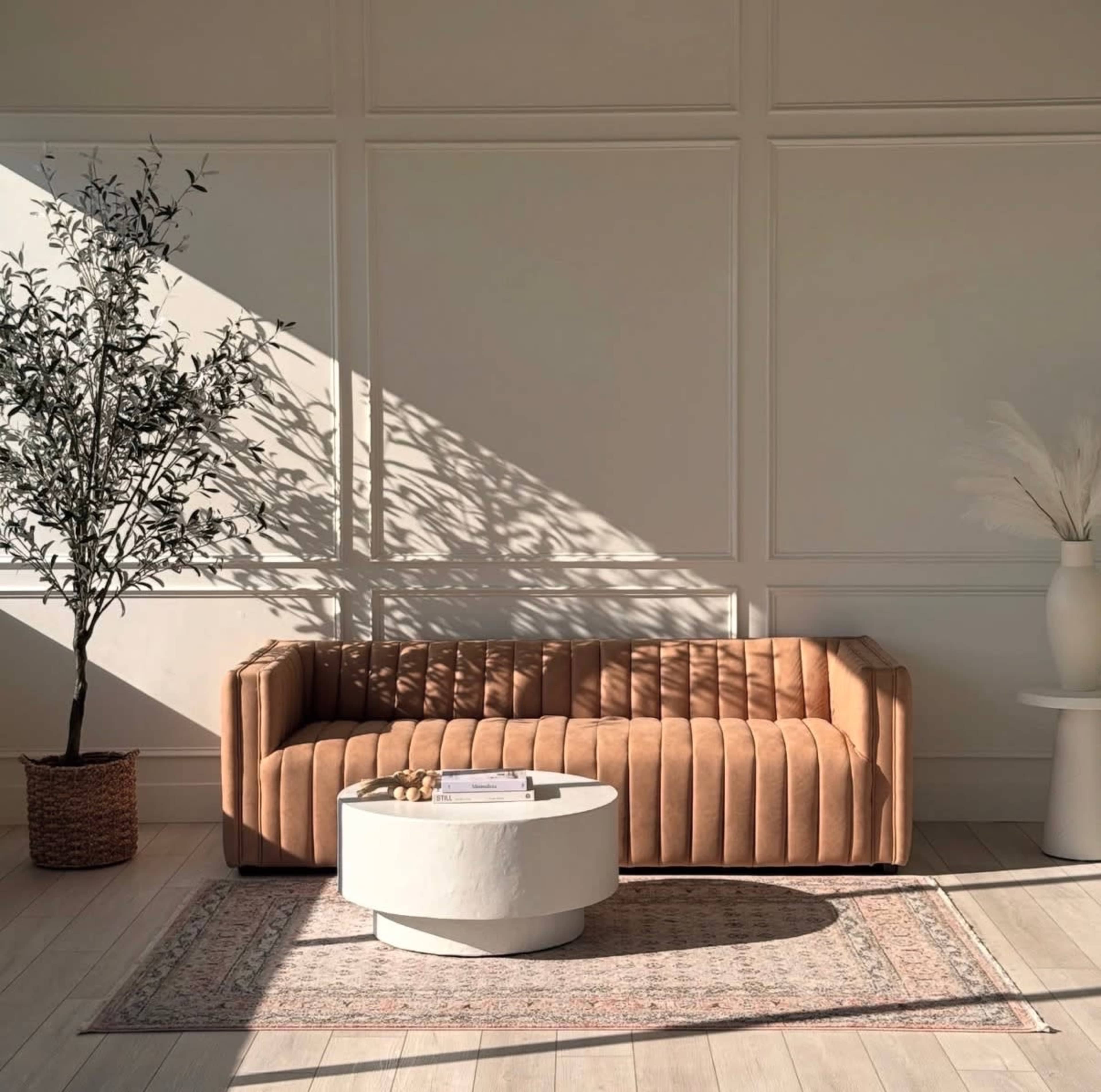 North Scottsdale Natural Light Photo Studio Image in Scottspark Business Center, Scottsdale, AZ