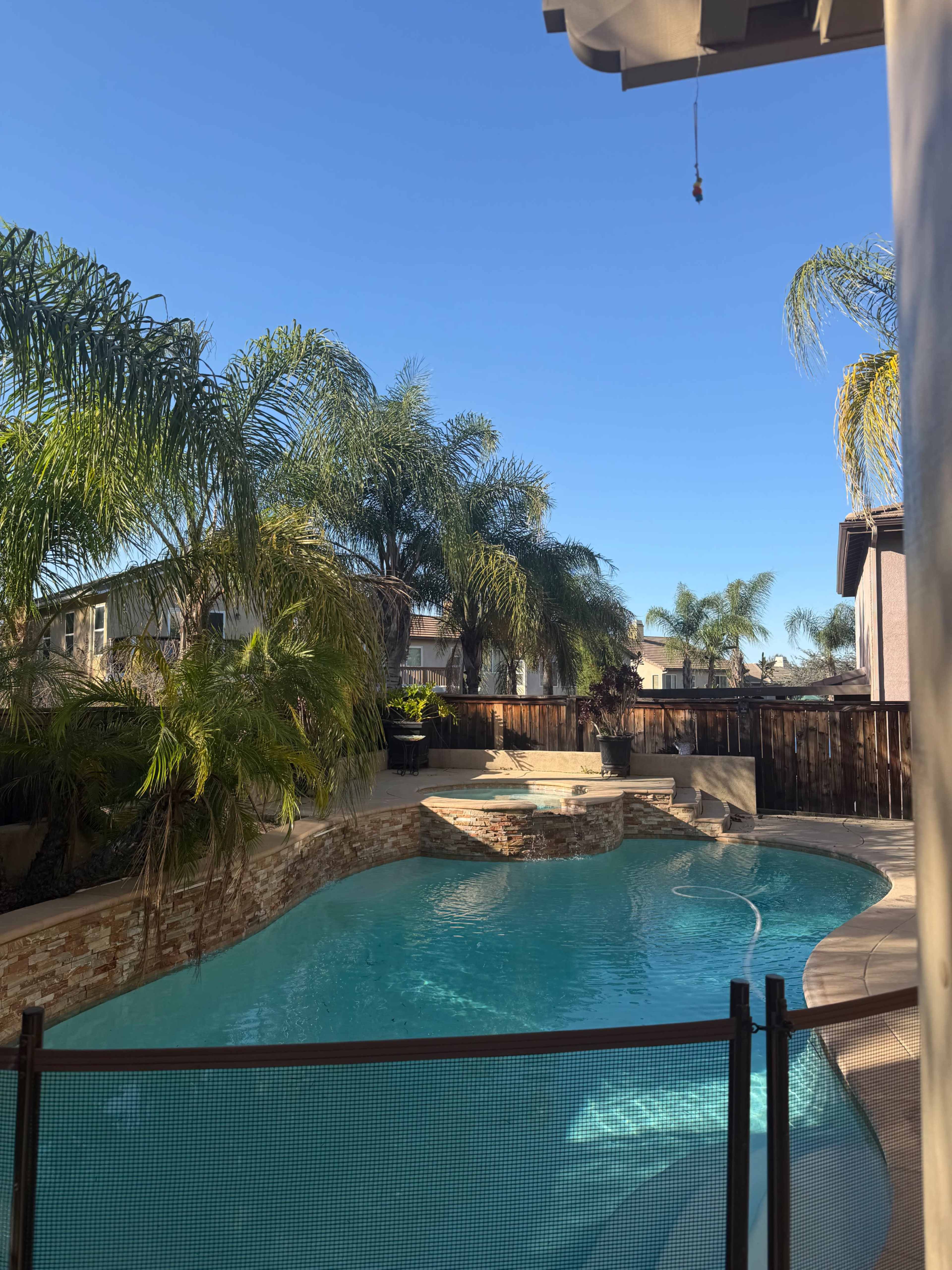 The image shows a swimming pool surrounded by palm trees and a wooden fence under a clear blue sky.