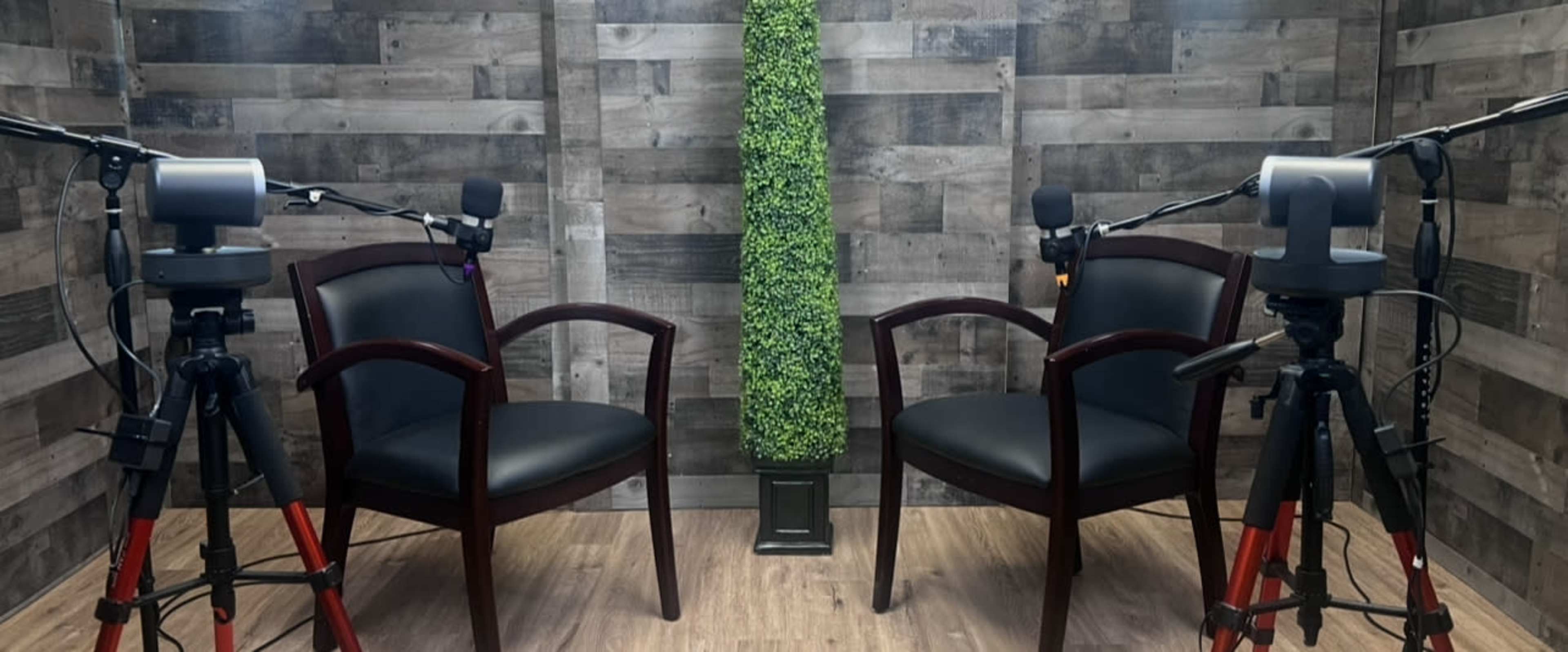 The image shows two black chairs facing each other in a studio setup, with microphones mounted on tripods and a faux plant in the center.