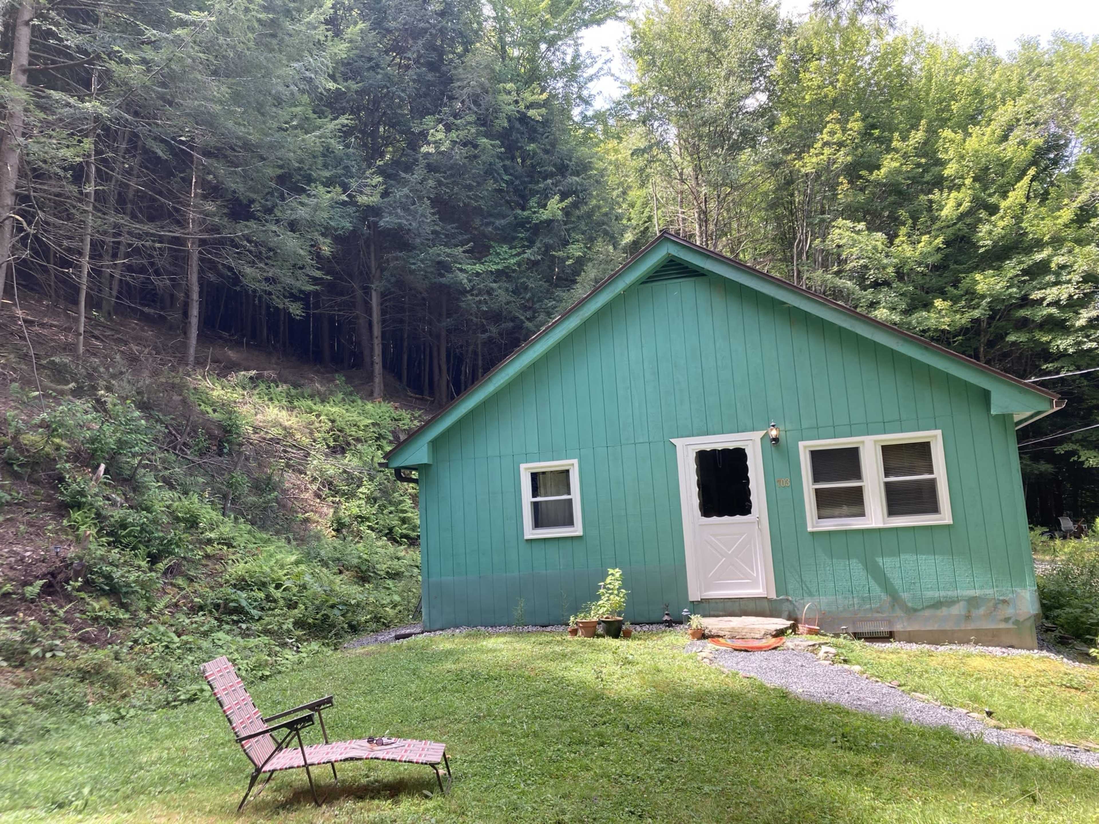 A small green house with a white door and windows sits in a grassy area surrounded by dense trees.