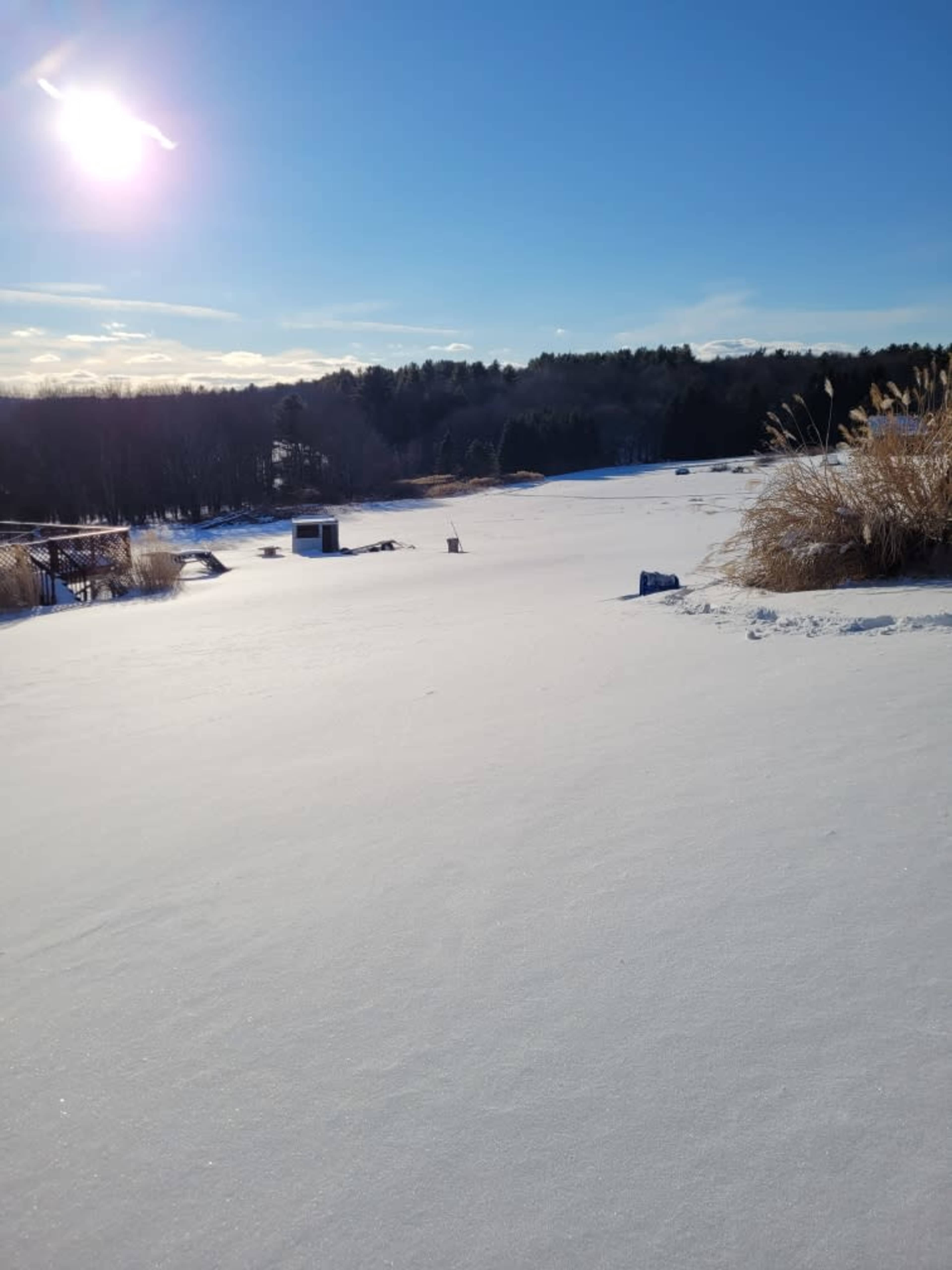 A snowy landscape stretches across the scene, with a bright sun overhead and trees lining the background.
