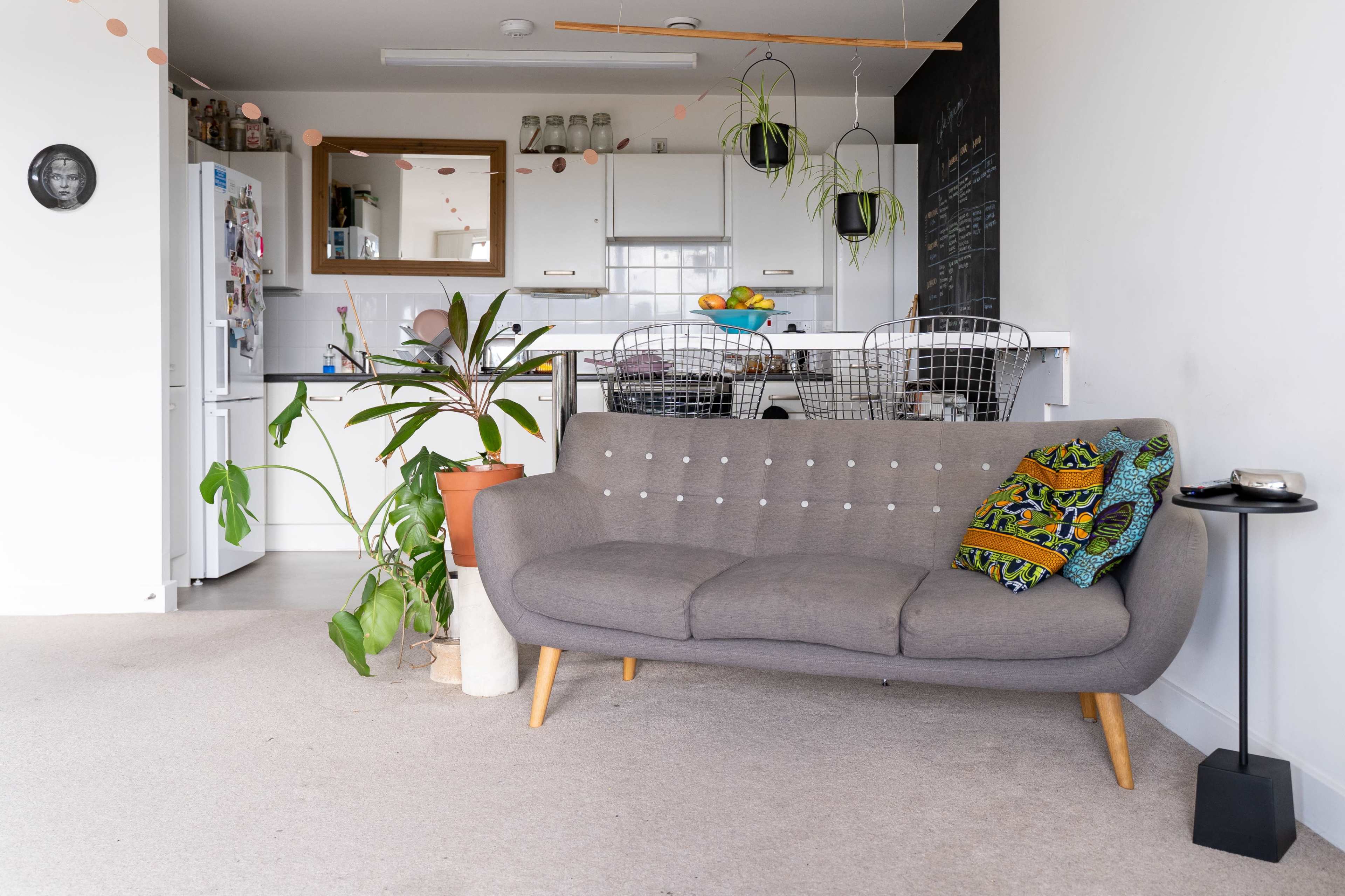 A modern living space with a gray couch in the foreground, complemented by potted plants and a kitchen area visible in the background.
