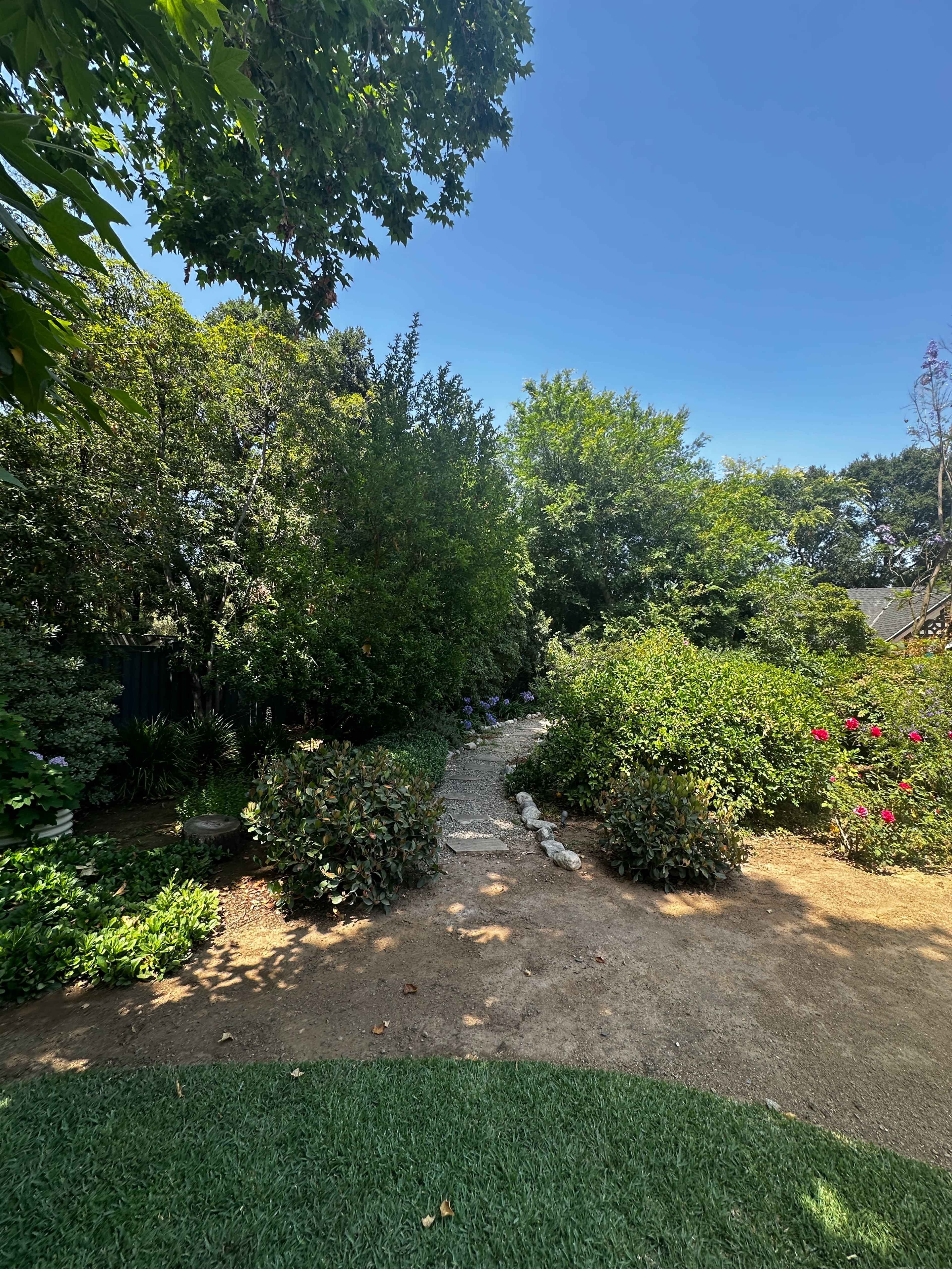 A narrow stone pathway winds through a lush garden filled with various shrubs and trees under a clear blue sky.