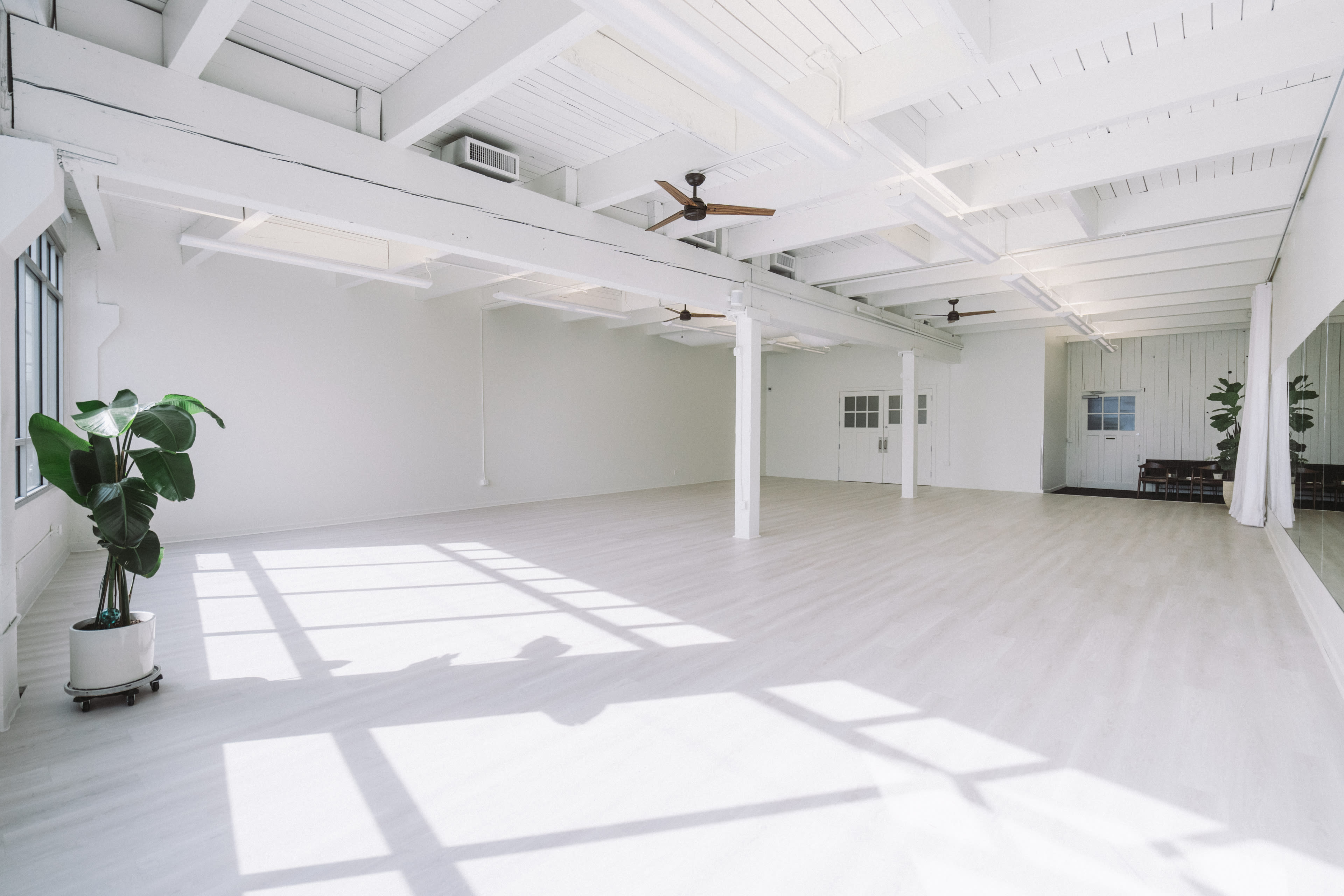 A spacious, well-lit studio with white walls and wooden flooring, featuring large windows and a few plants.