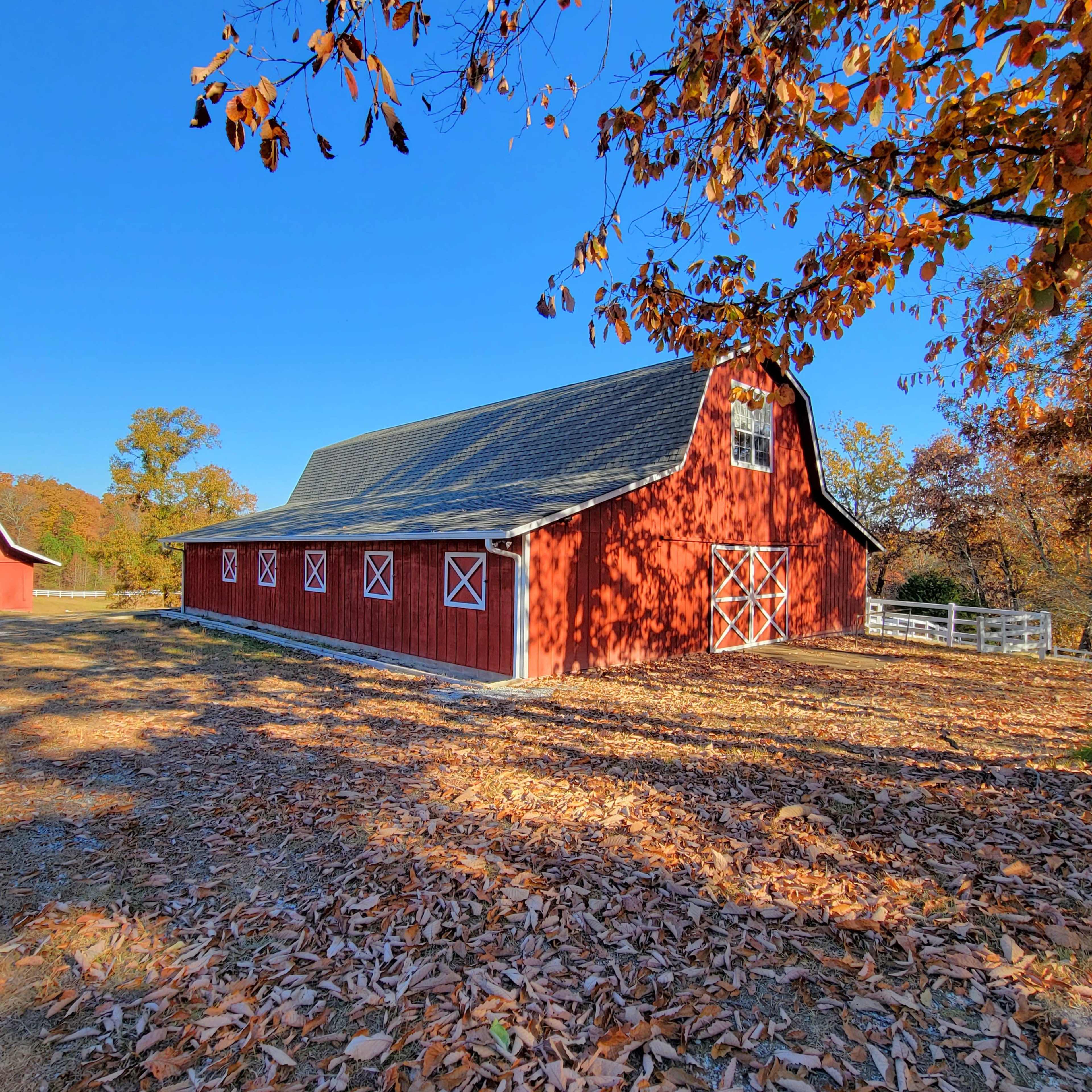 A red barn with white accents stands amid fallen leaves under a clear blue sky.