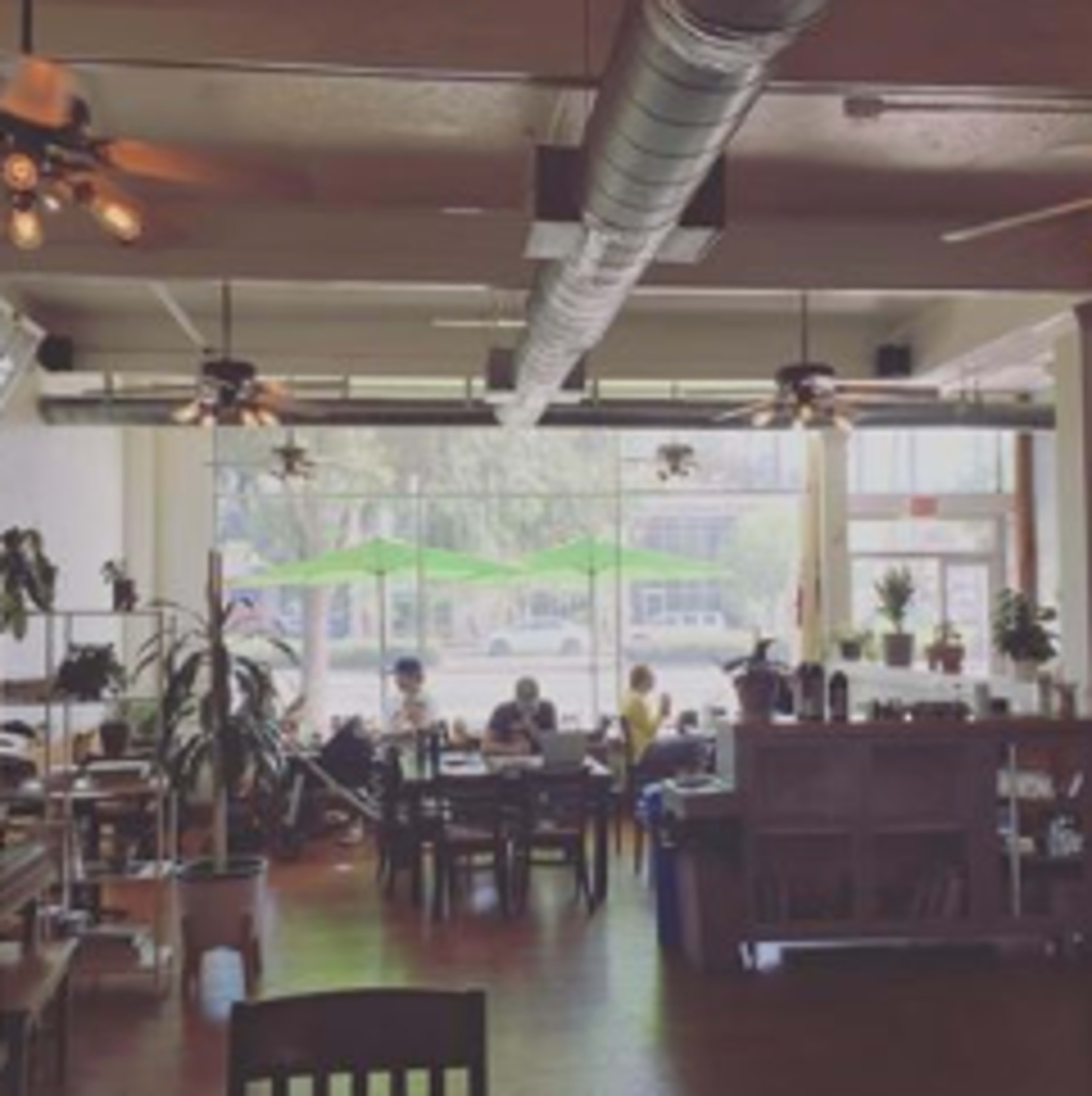 The image shows a spacious café interior with large windows, ceiling fans, and customers seated at tables among various potted plants.