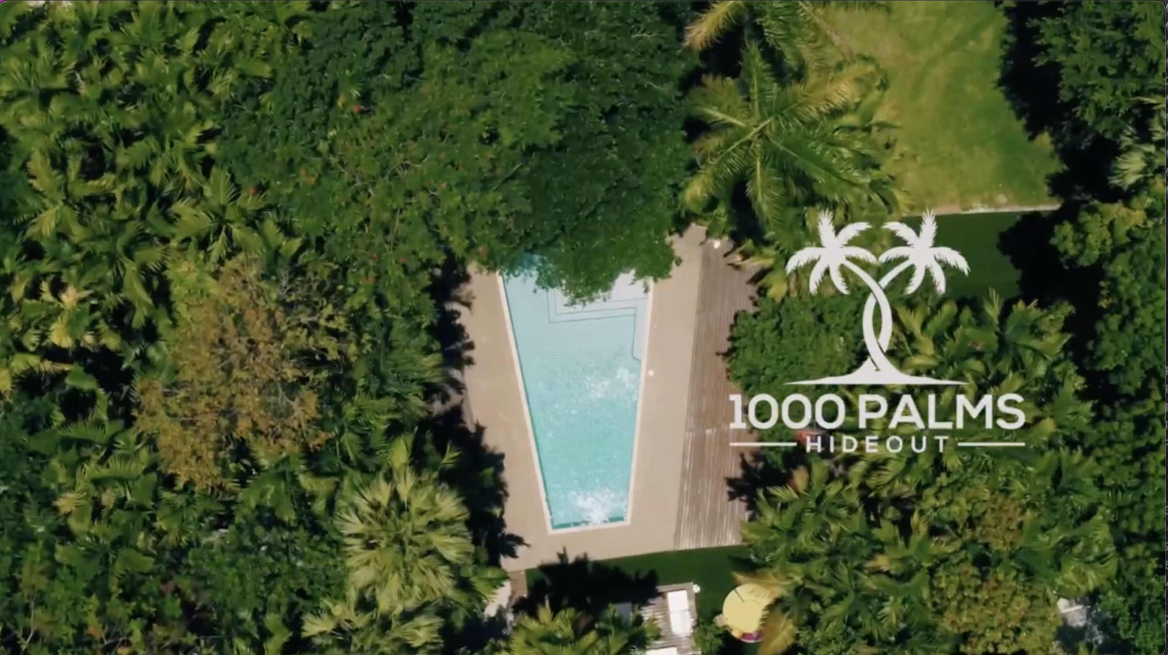 An aerial view of a rectangular swimming pool surrounded by lush greenery and palm trees.