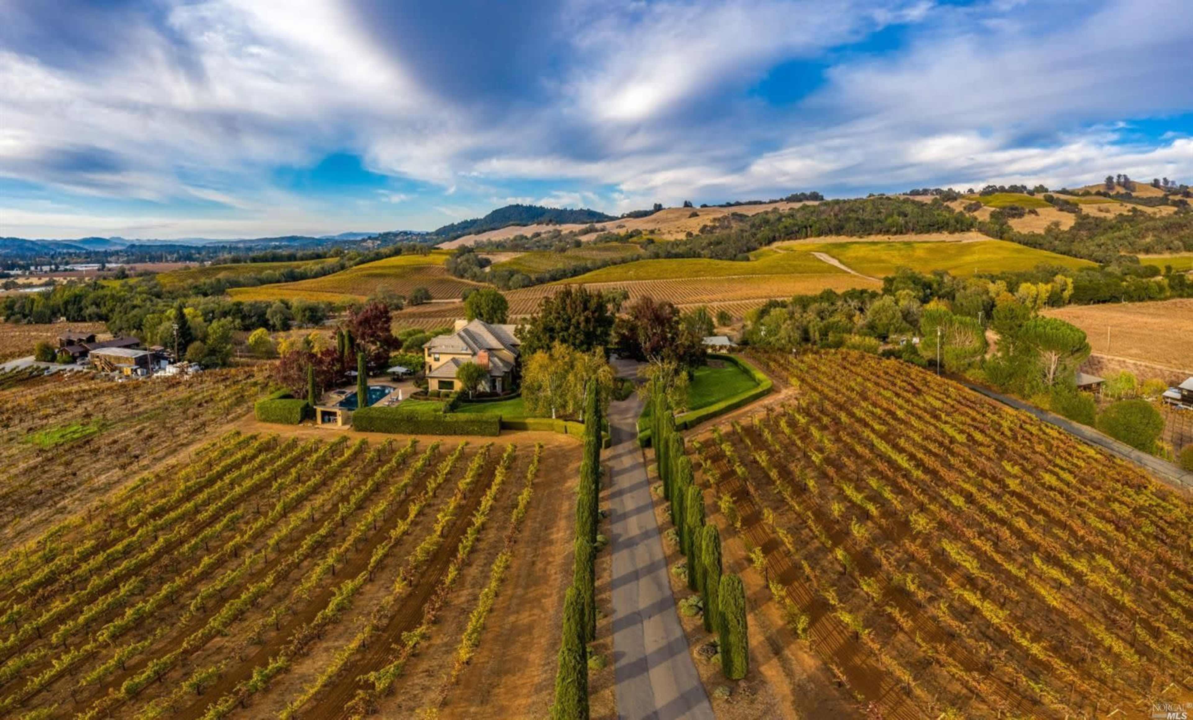 A scenic vineyard landscape with neatly arranged rows of grapevines leading to a house, surrounded by rolling hills under a blue sky.