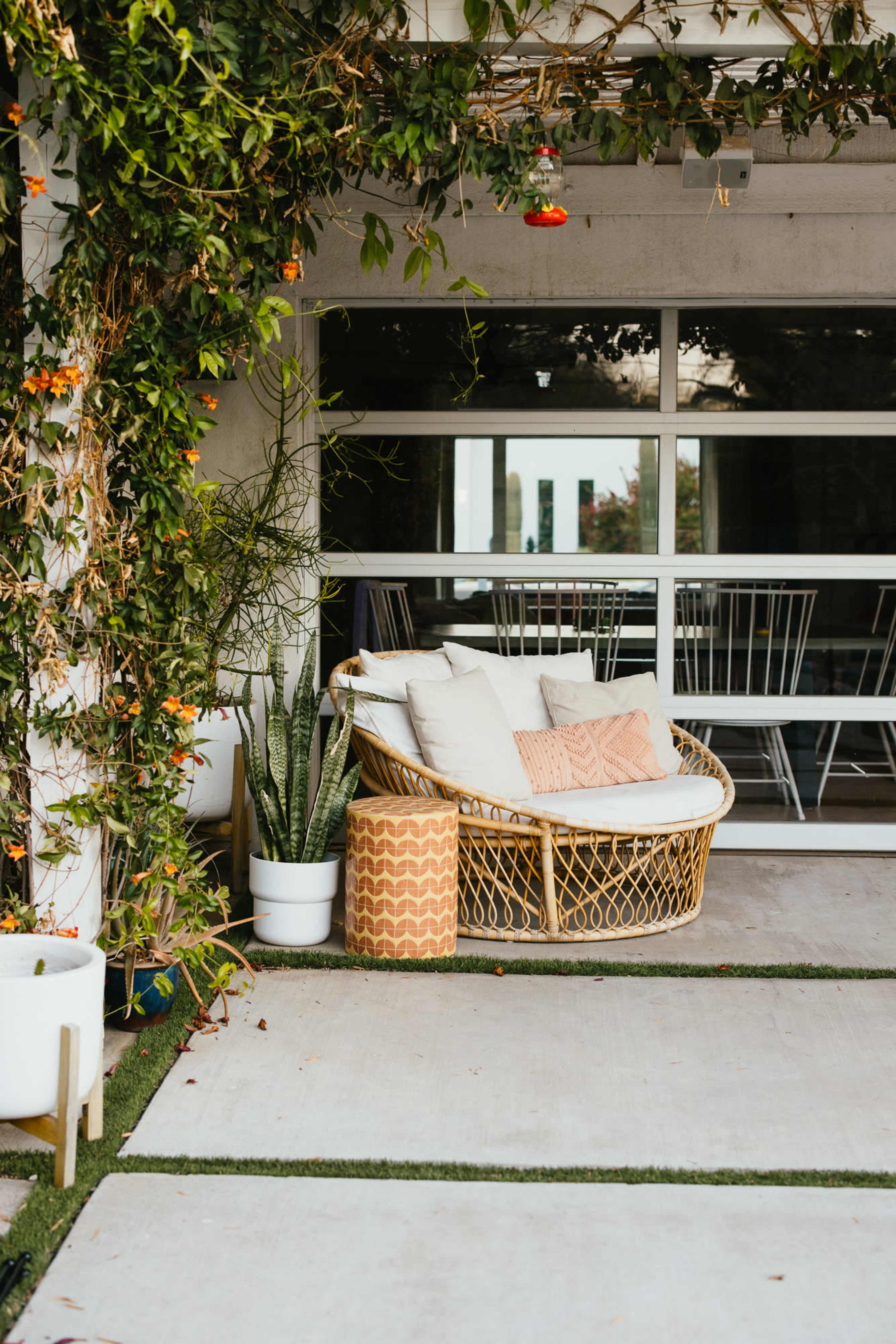A circular wicker chair with cushions is placed near a wall covered in green vines, beside potted plants and a concrete walkway.