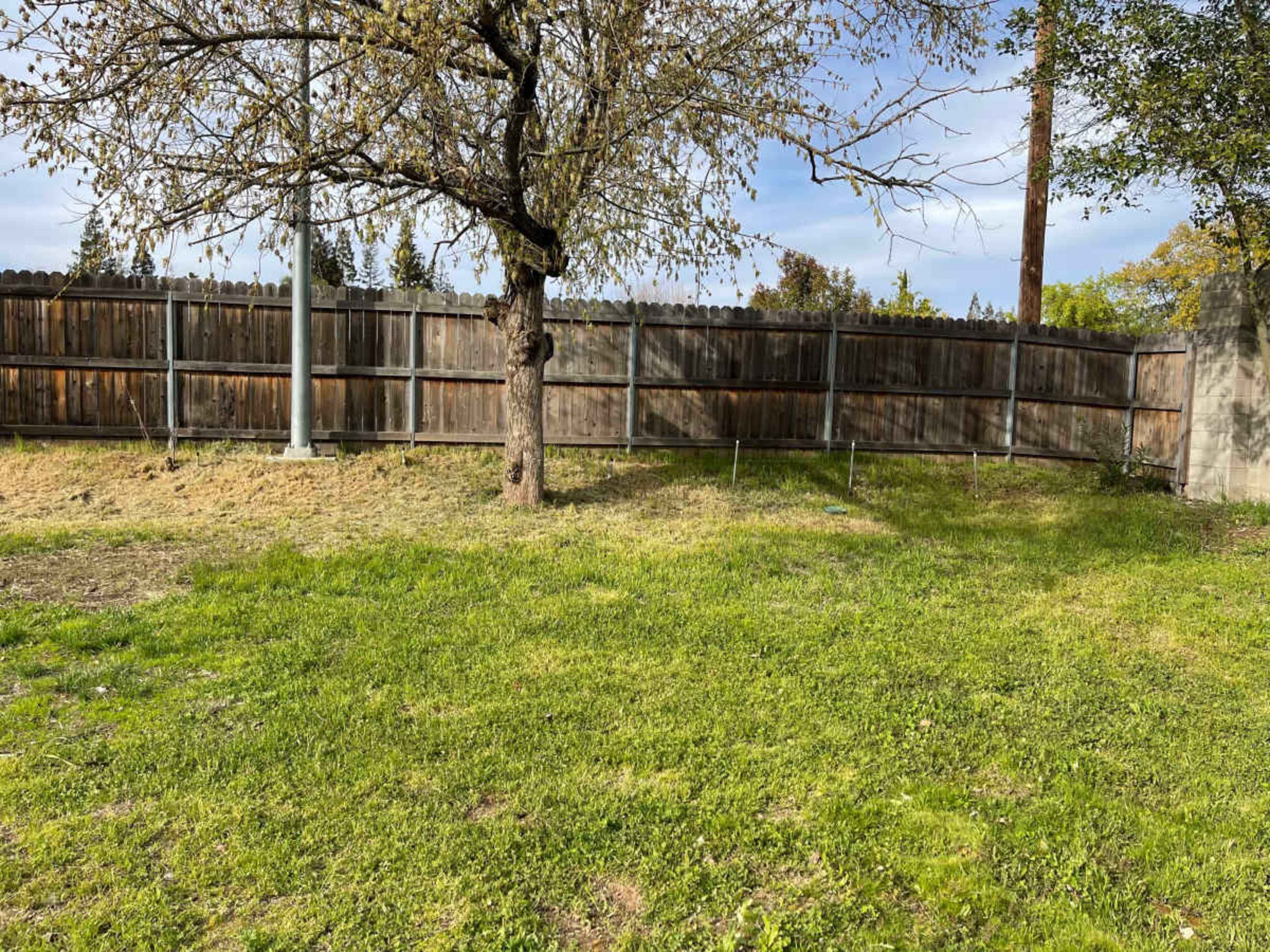 Carmichael Hills Lovely Space Image in Carmichael, CARMICHAEL, CA