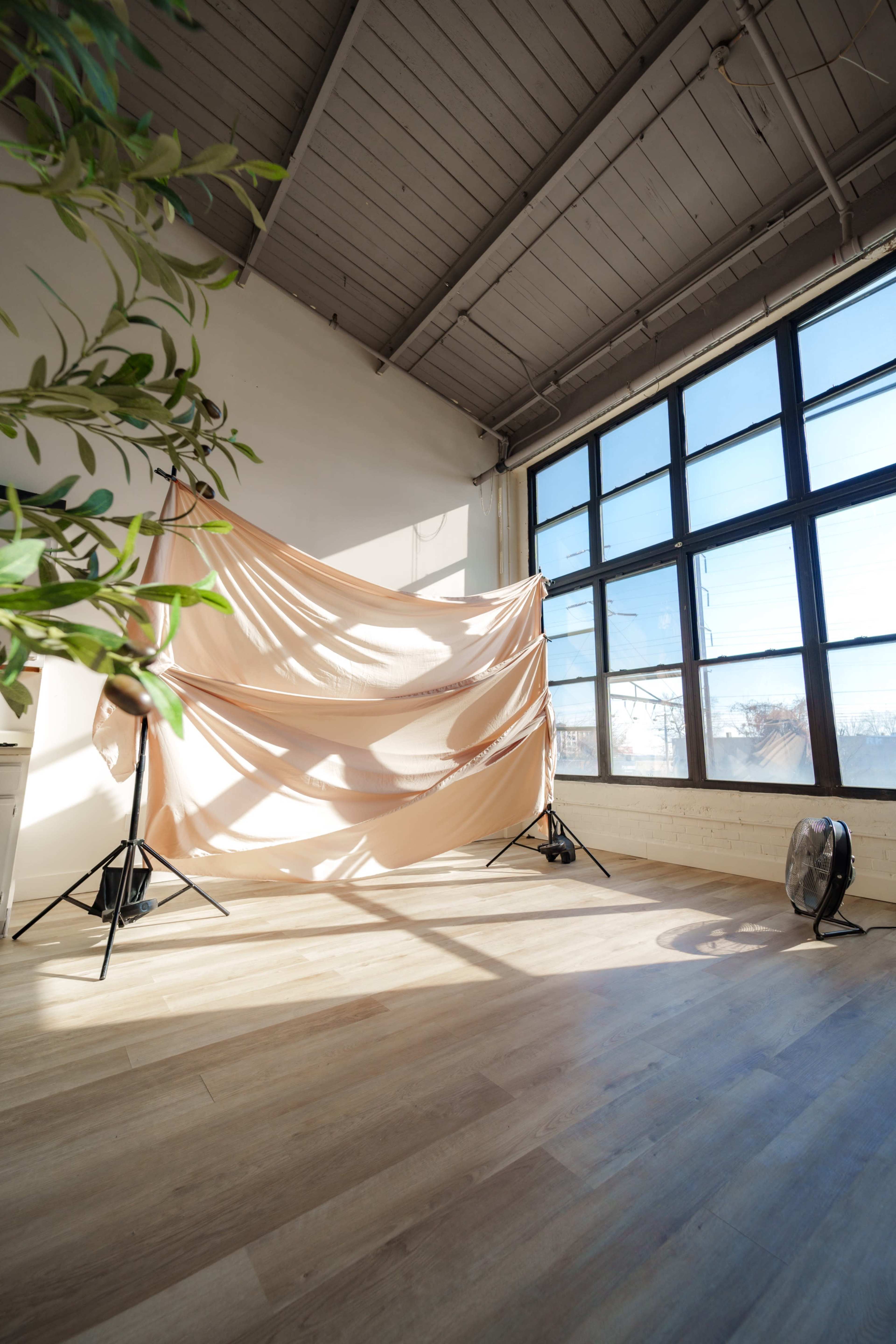 A Natural Light Studio for Creatives Image in Tacony, Philadelphia, PA