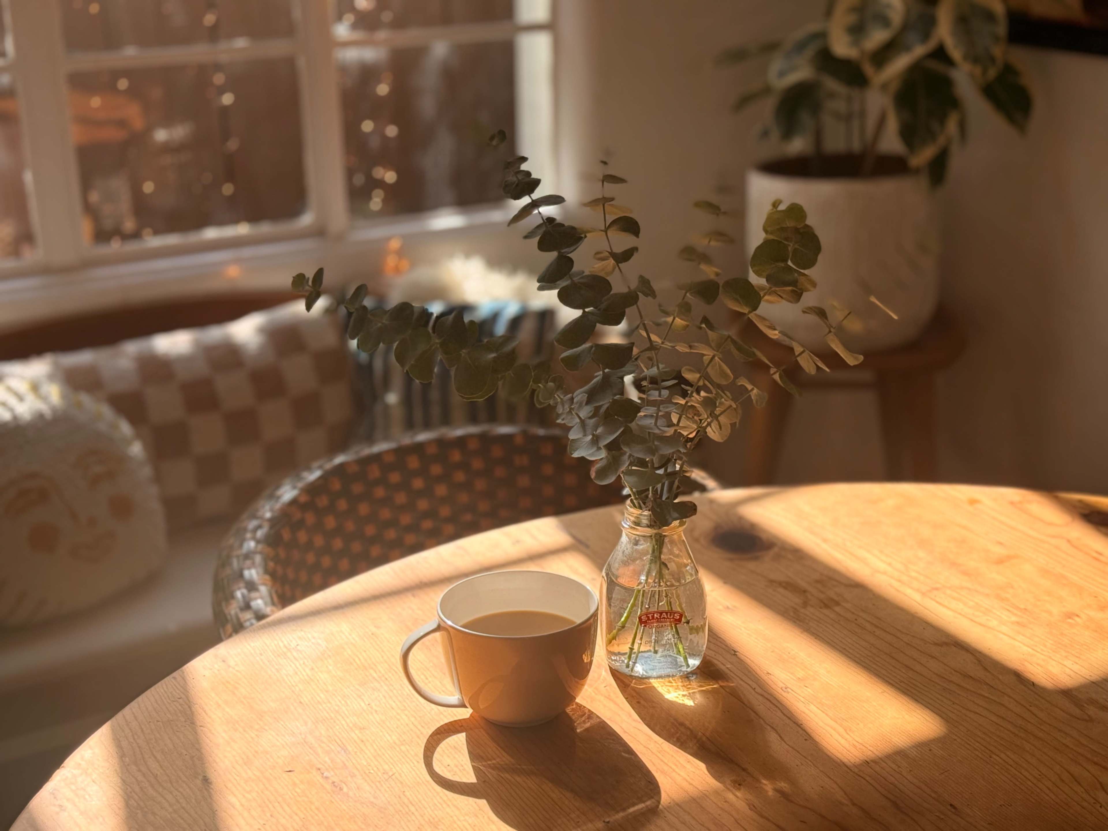 A clear glass vase holding eucalyptus branches sits on a wooden table next to a light-colored cup in a sunlit room with a patterned cushion and plants in the background.