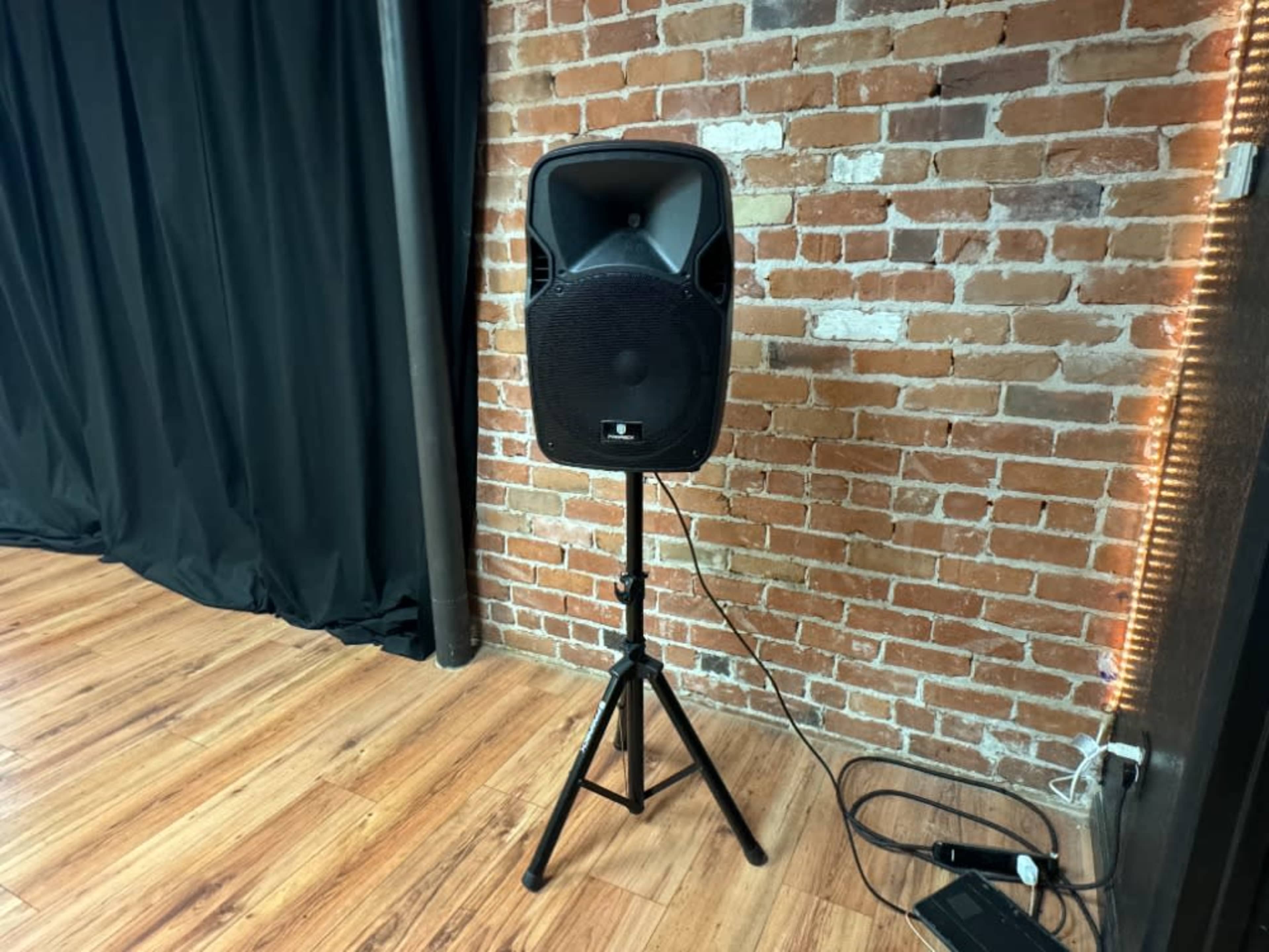 Single Speaker