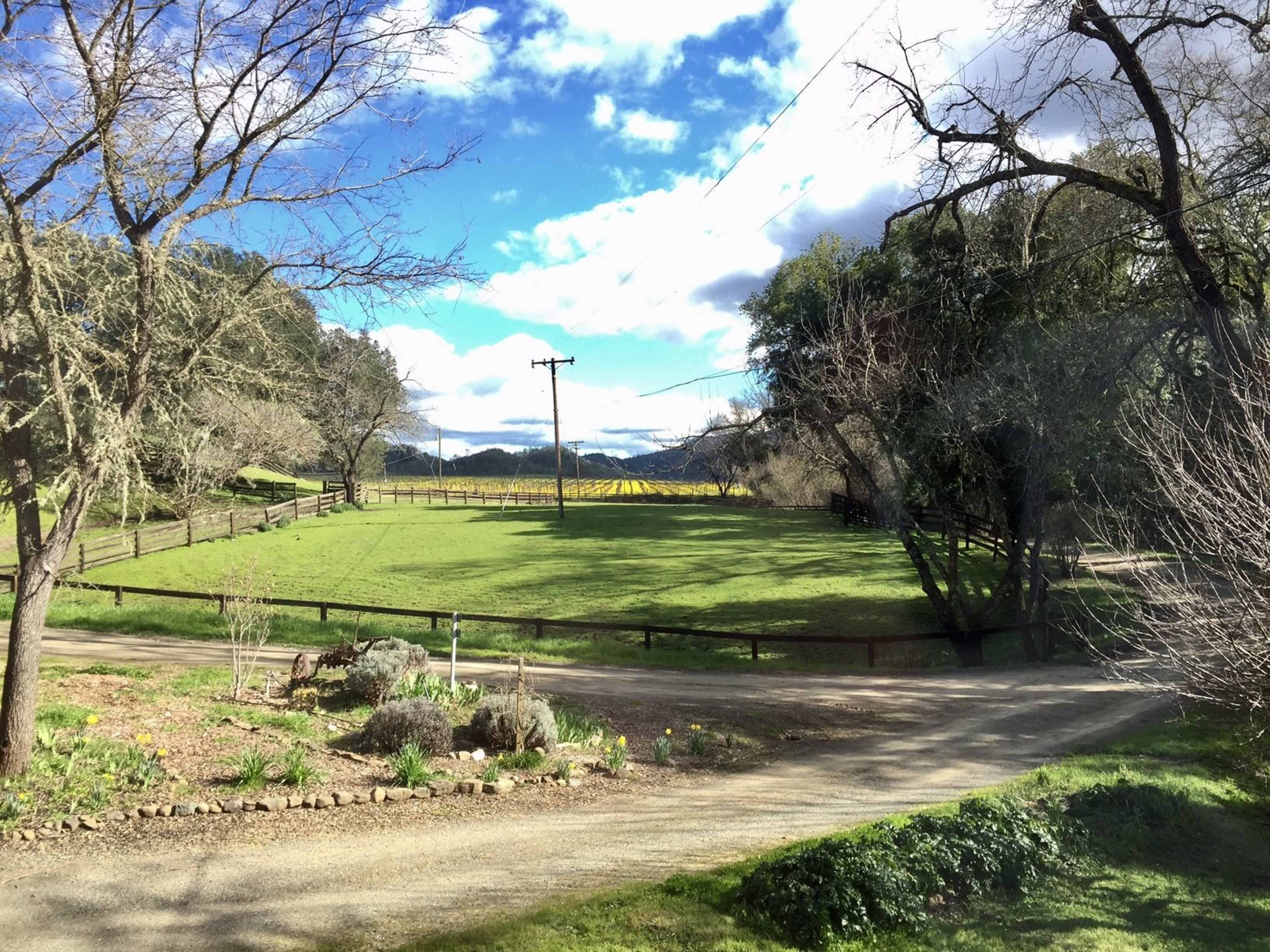 A gravel road winds through a green pasture bordered by wooden fences and bare trees under a partly cloudy sky.