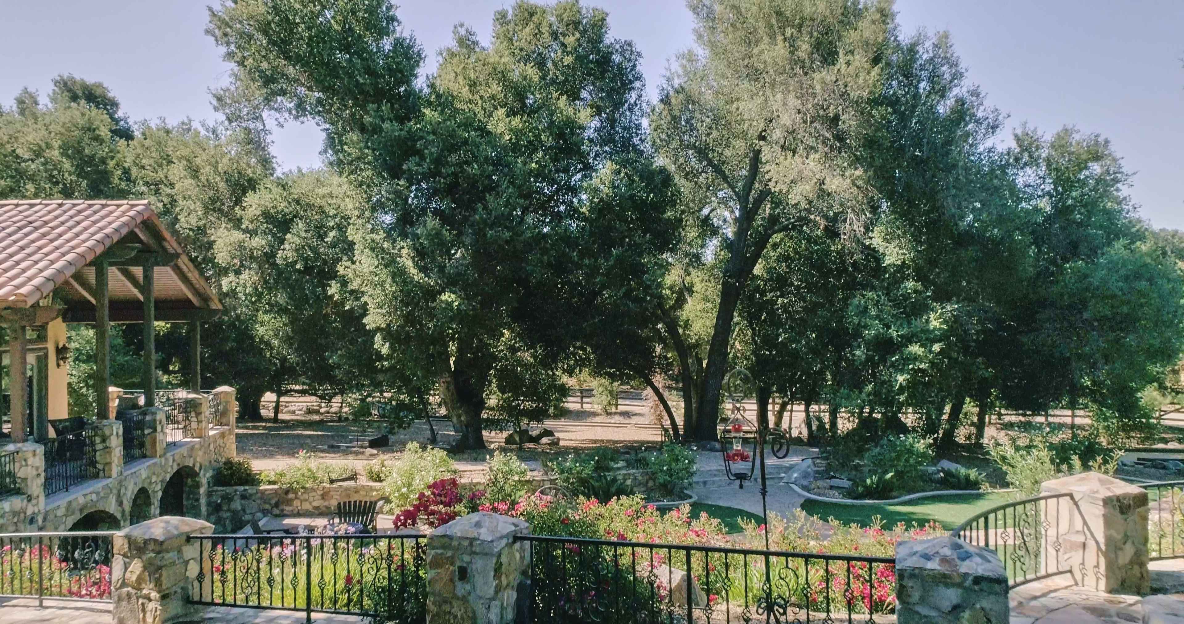 A landscaped garden with blooming flowers, large trees, and a stone wall overlooks a peaceful area with walking paths.