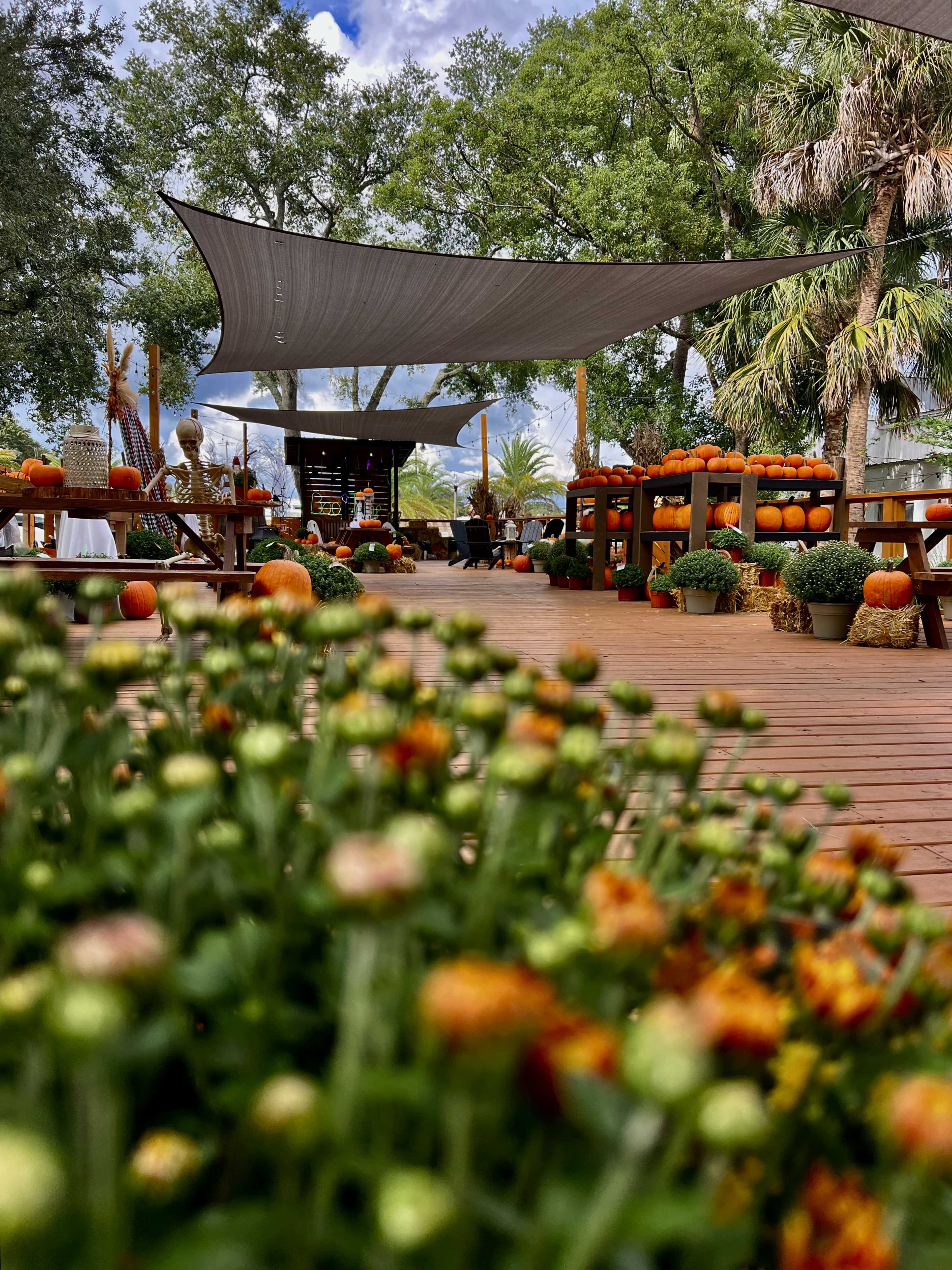 Chic downtown coffee shop, bar and outdoor deck Image in Apopka, Apopka, FL