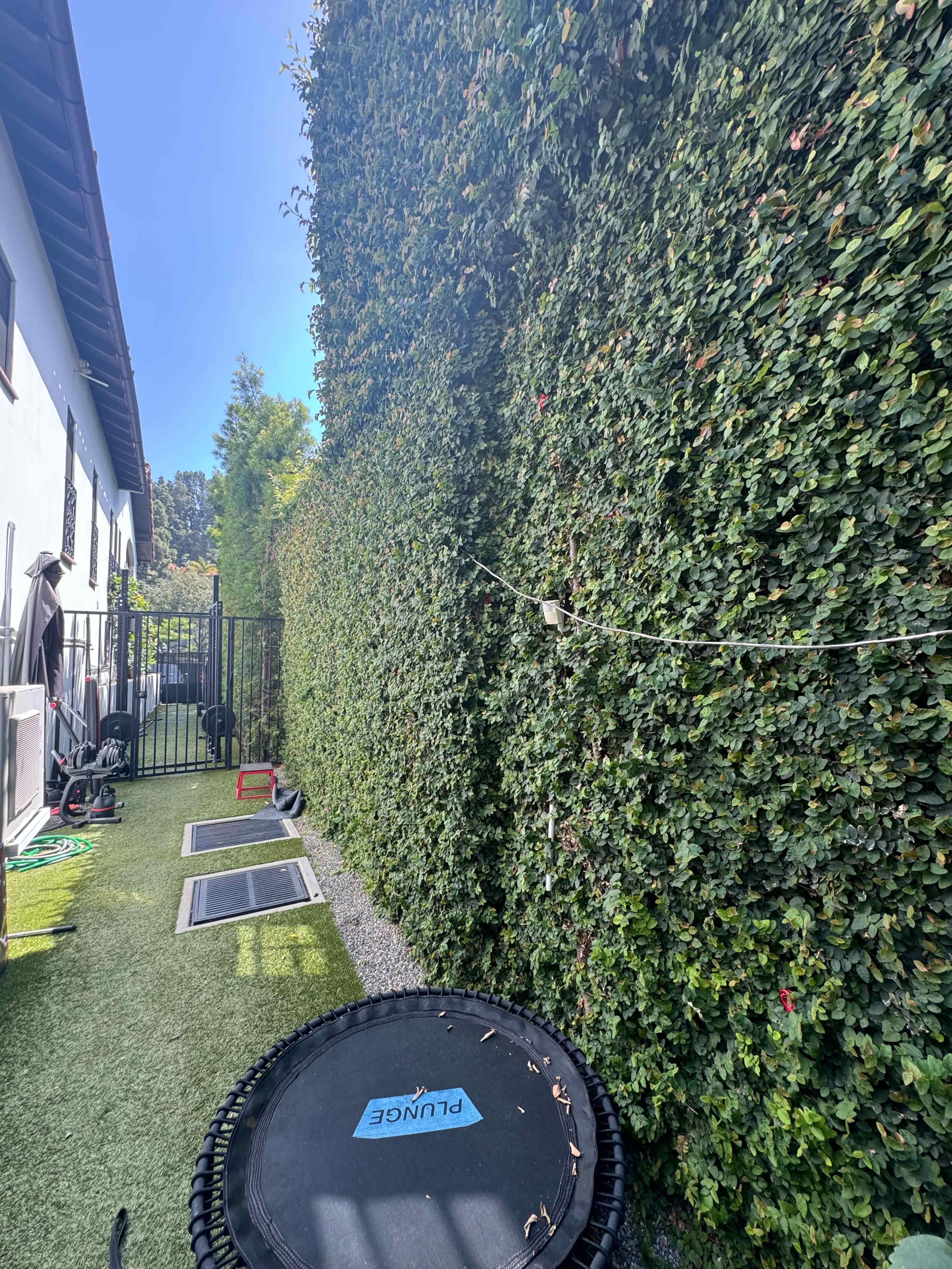 A trampoline sits next to manicured hedges in a backyard area surrounded by a fence.