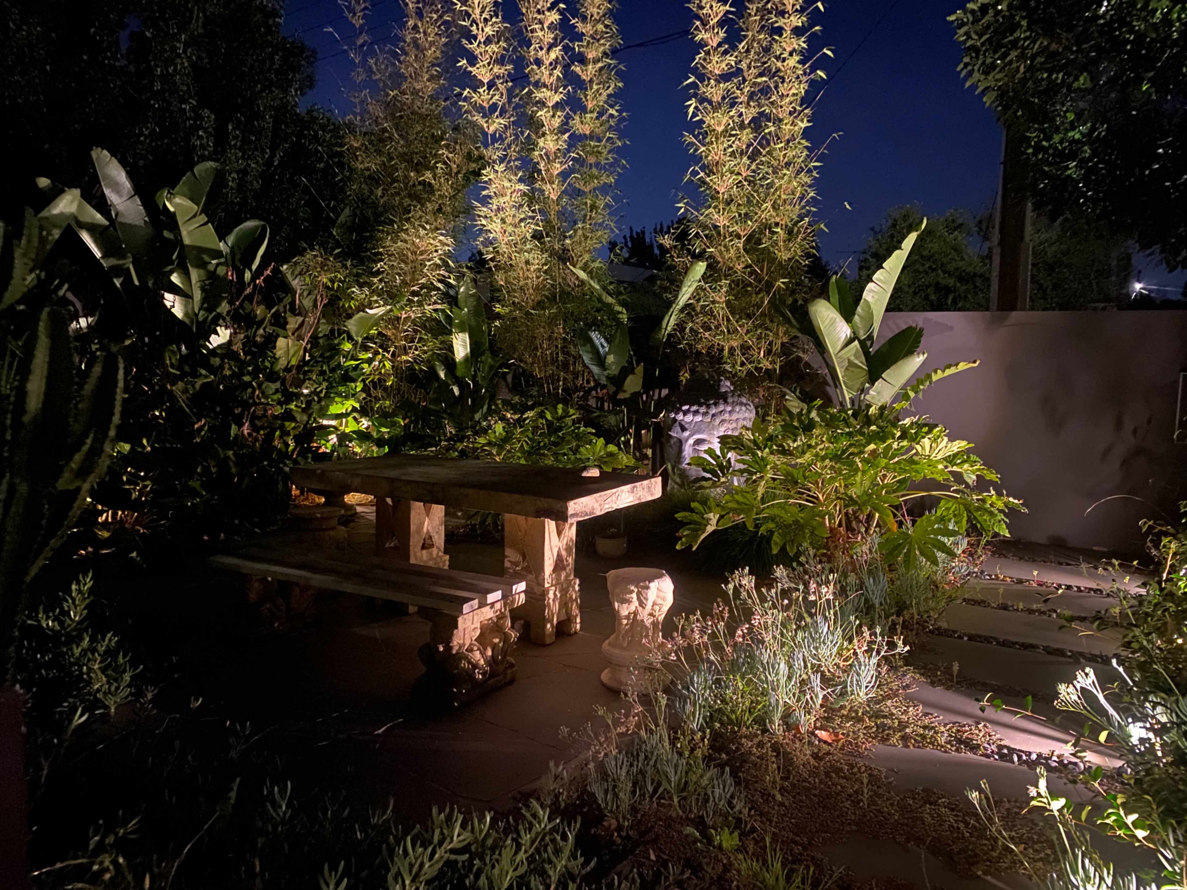 A wooden table sits in a dimly lit garden surrounded by tall plants and greenery.