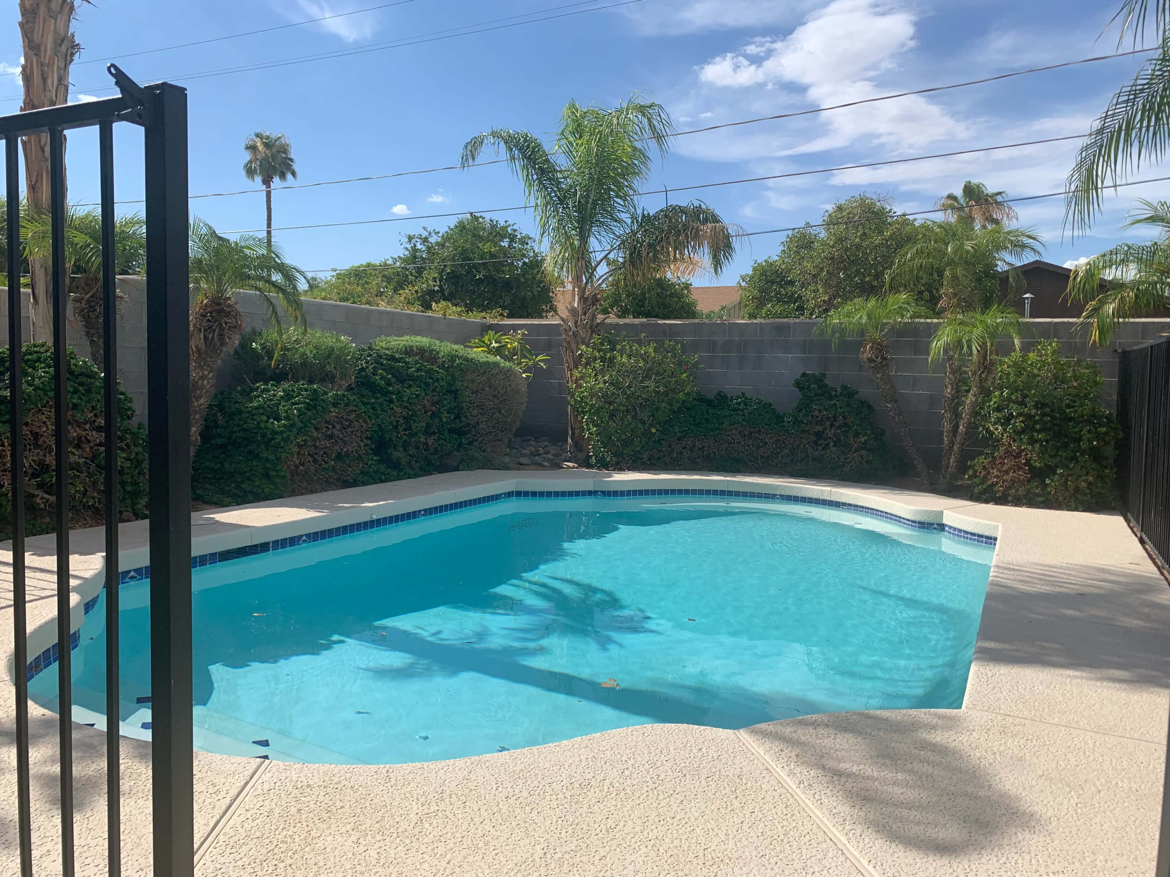 A swimming pool surrounded by tropical plants and a concrete deck under a clear blue sky.