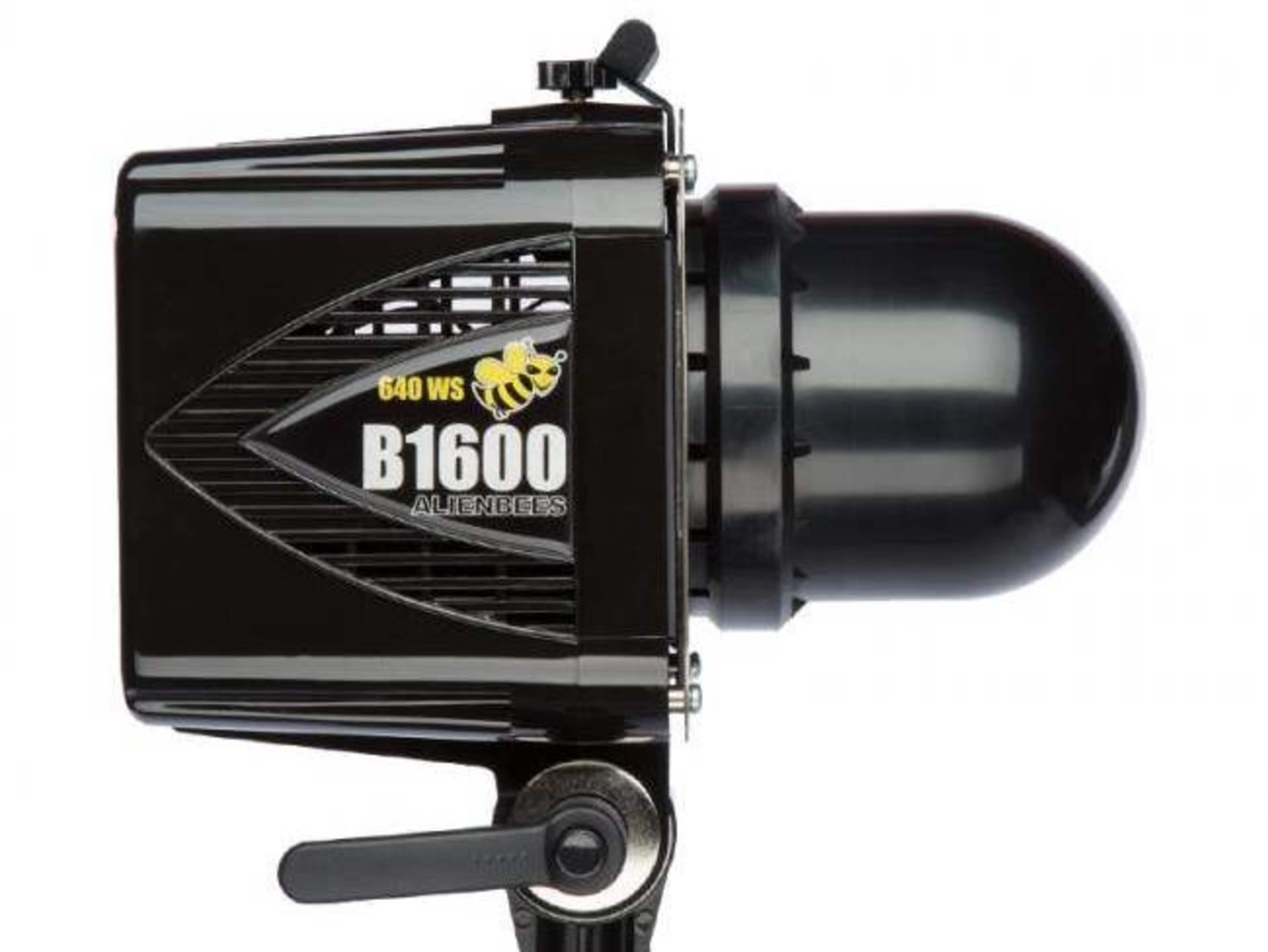 Alien Bee 1600 Strobe Light  (1 Light)