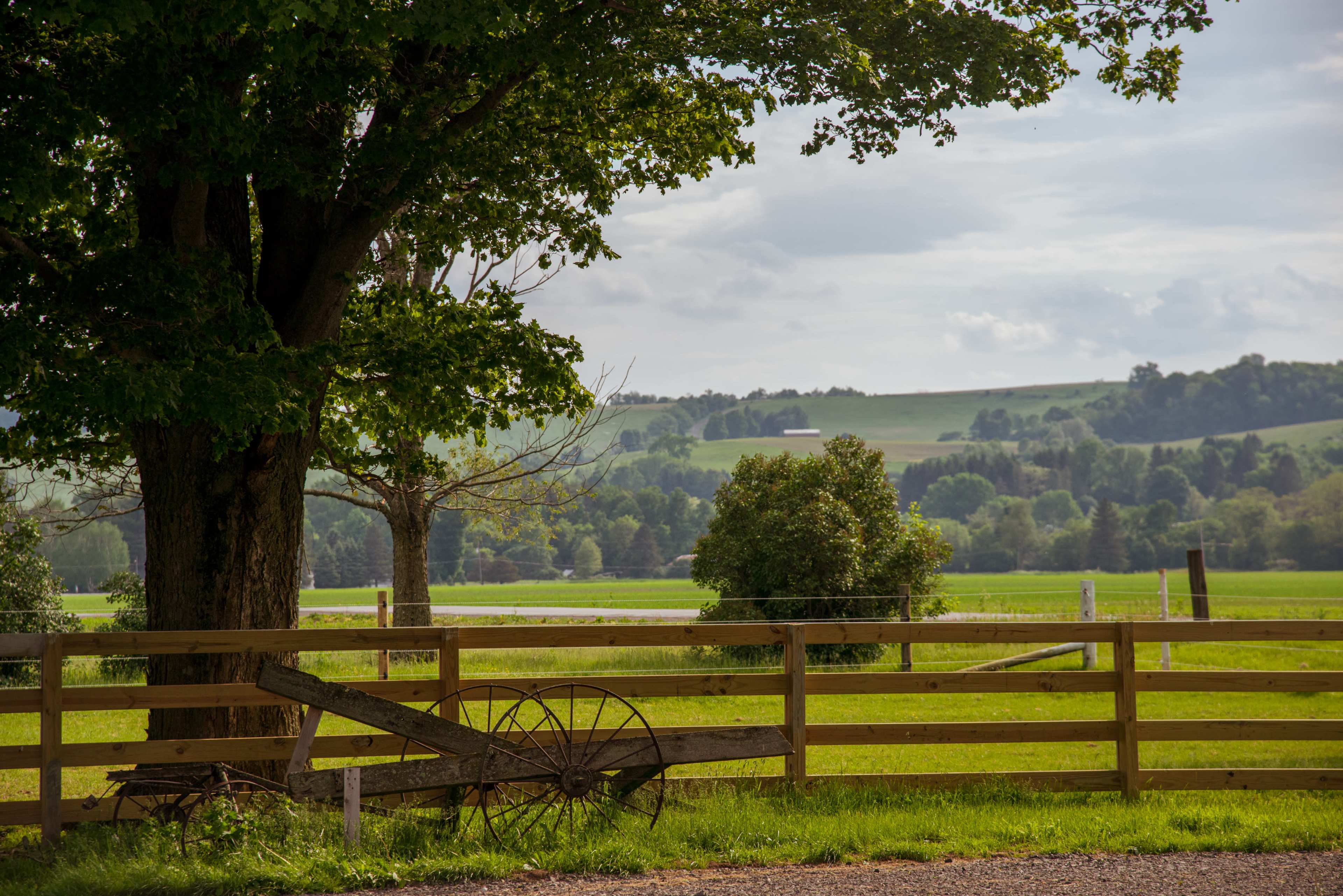 A wooden fence surrounds a green pasture with a wagon wheel resting on the ground under a large tree.