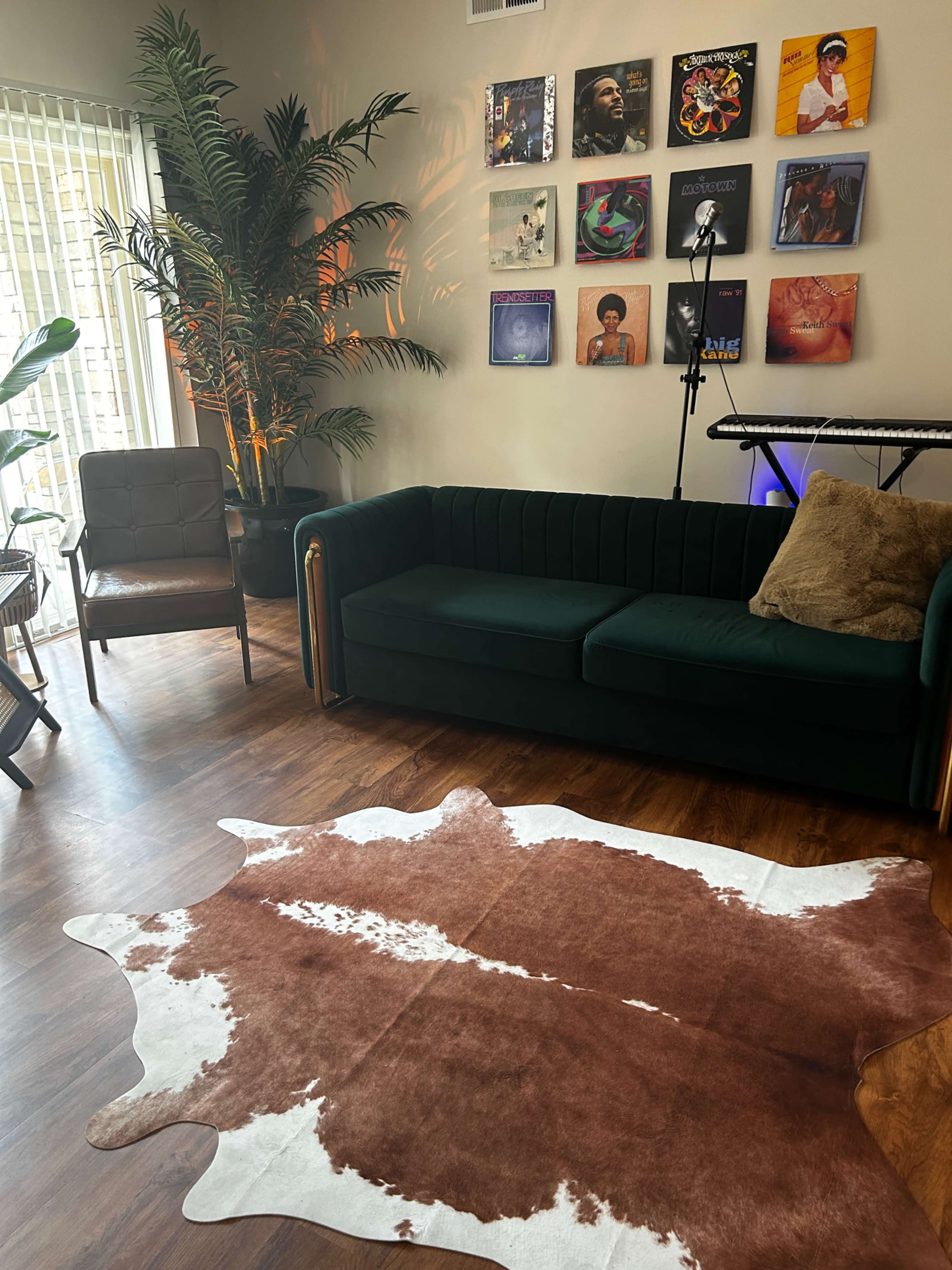A cozy living space featuring a green couch, a brown and white cowhide rug, a chair, and wall-mounted vinyl records, with a plant in the corner and a keyboard in the background.