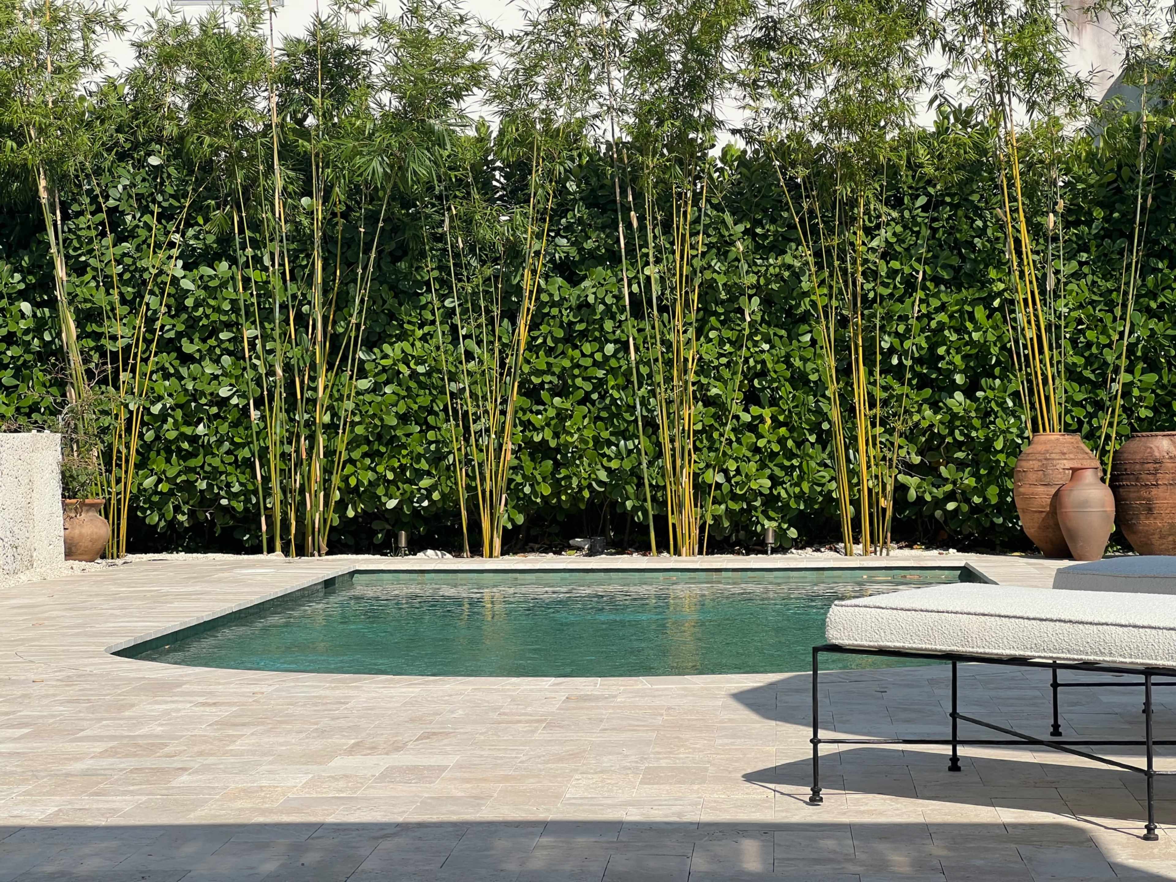 A pool surrounded by bamboo and green foliage, with two earthen pots and a lounge chair nearby.